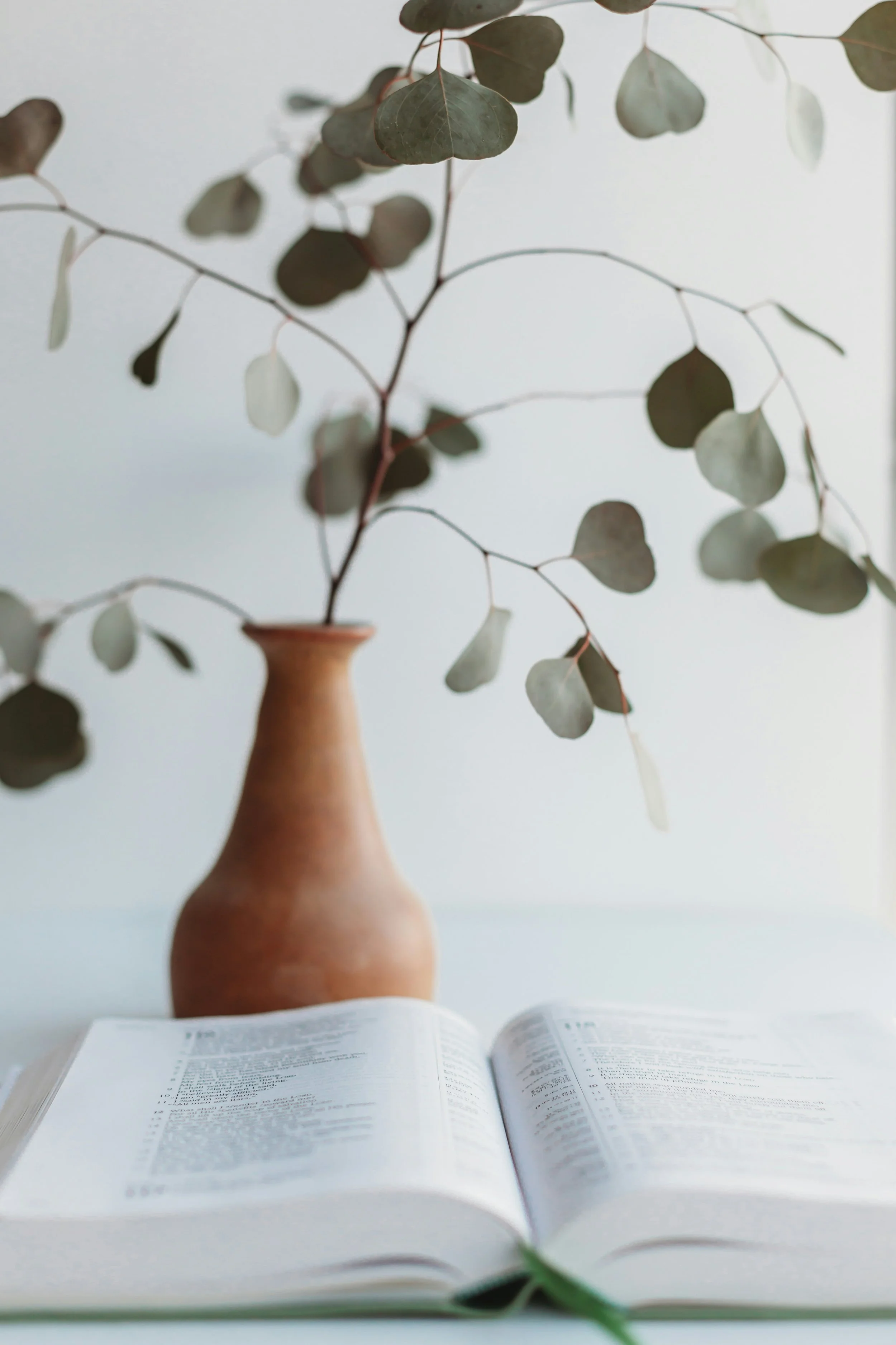 Start Here: Wellness Begins with Being Heard 