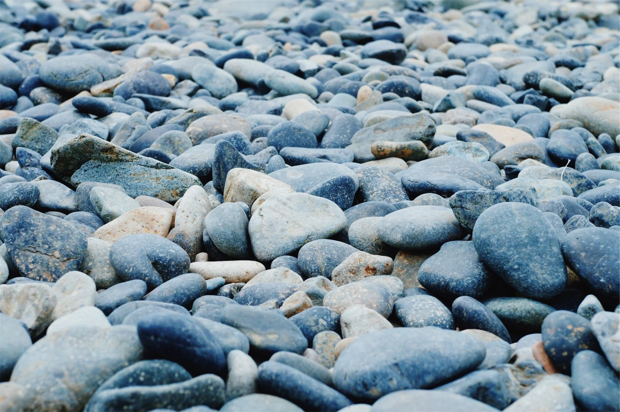 vsco5a6ffd896529a.jpg