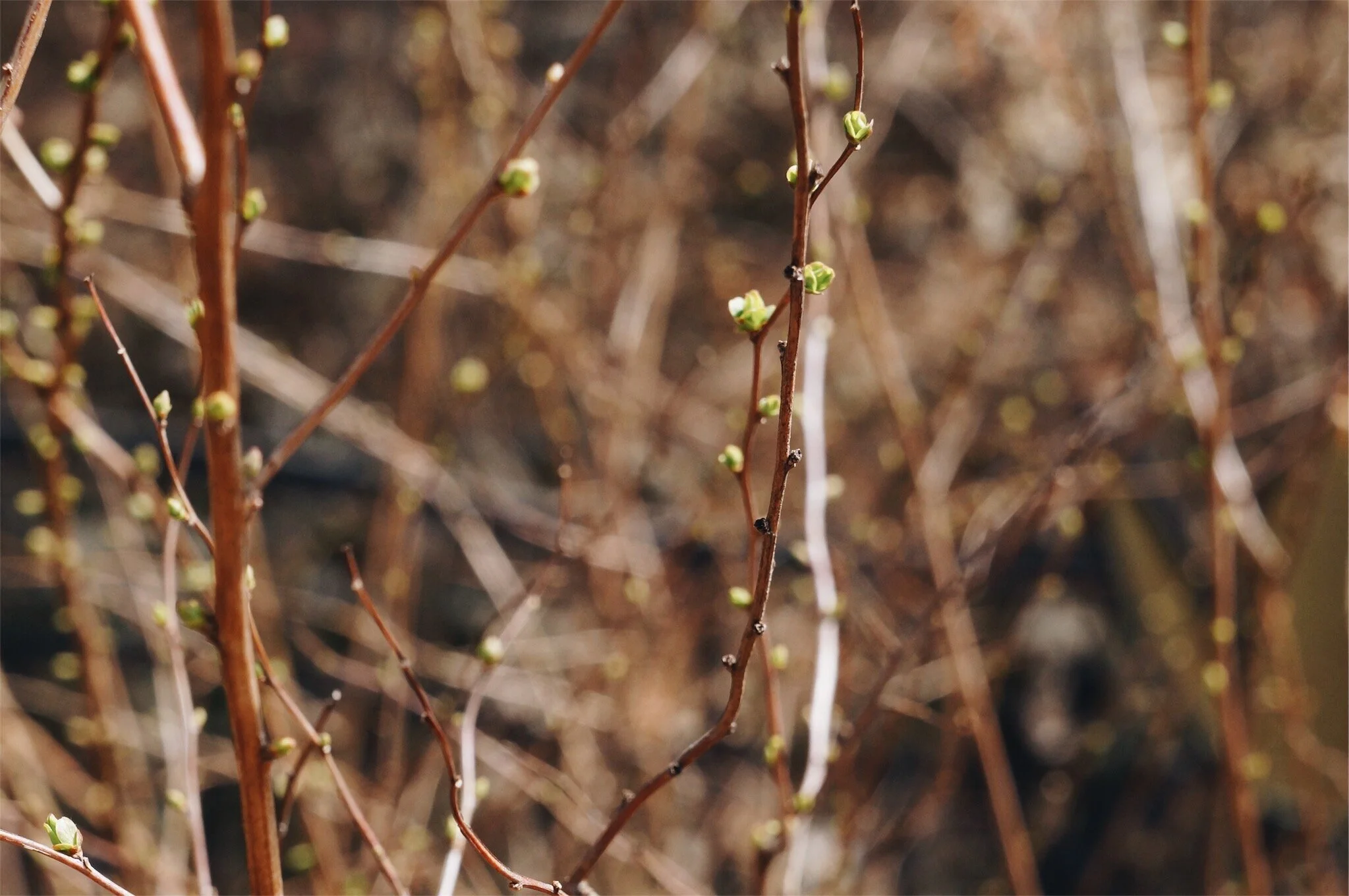 vsco5a6ffde122411.jpg