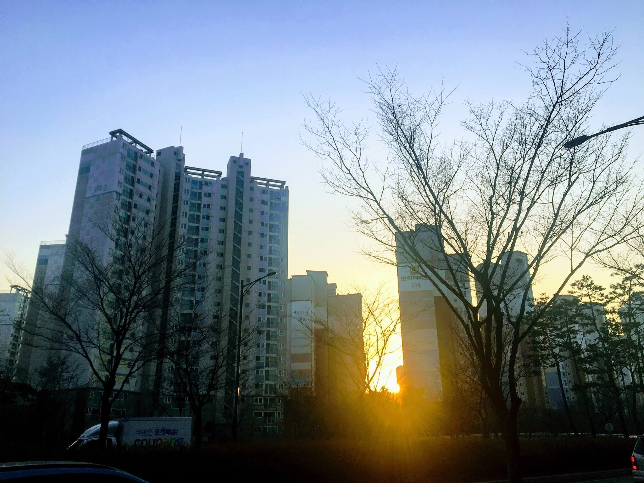 vsco5a6536640bc80.jpg