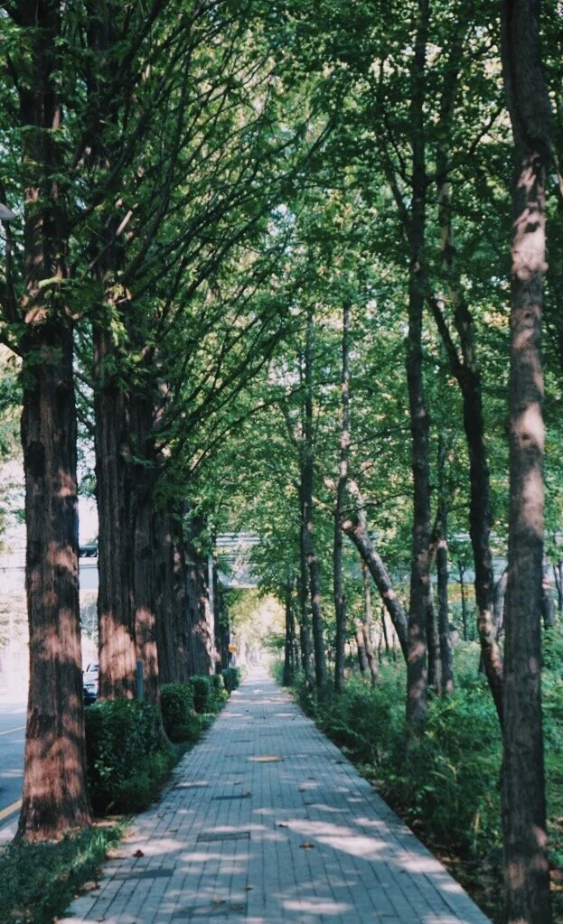 vsco5a6ffae50660f.jpg