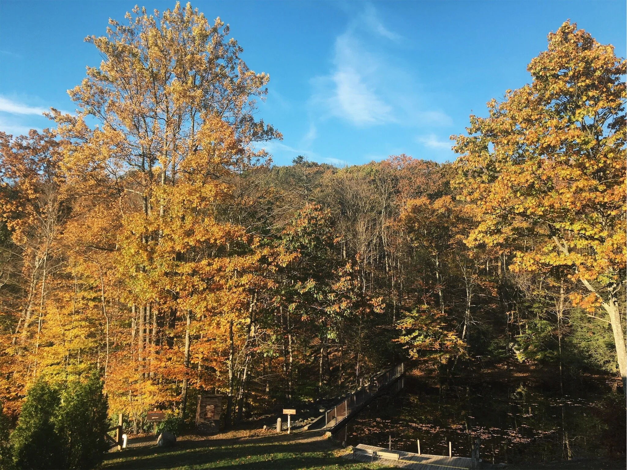 vsco5a63ea36cb3d5.jpg