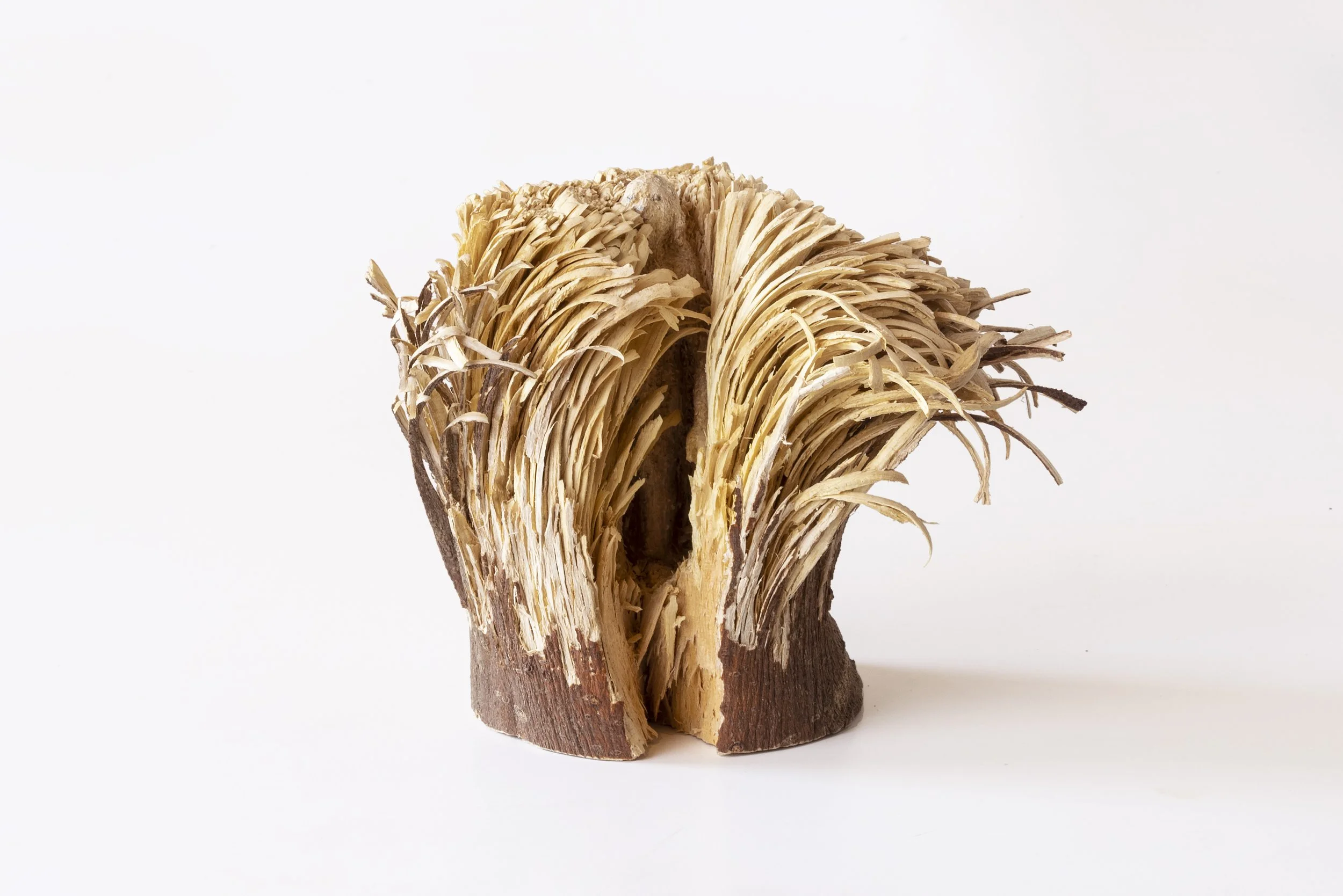 Die Gärtnerin, 2019, fig tree wood, pencil, 9,5 x 12 x 10 cm, private collection