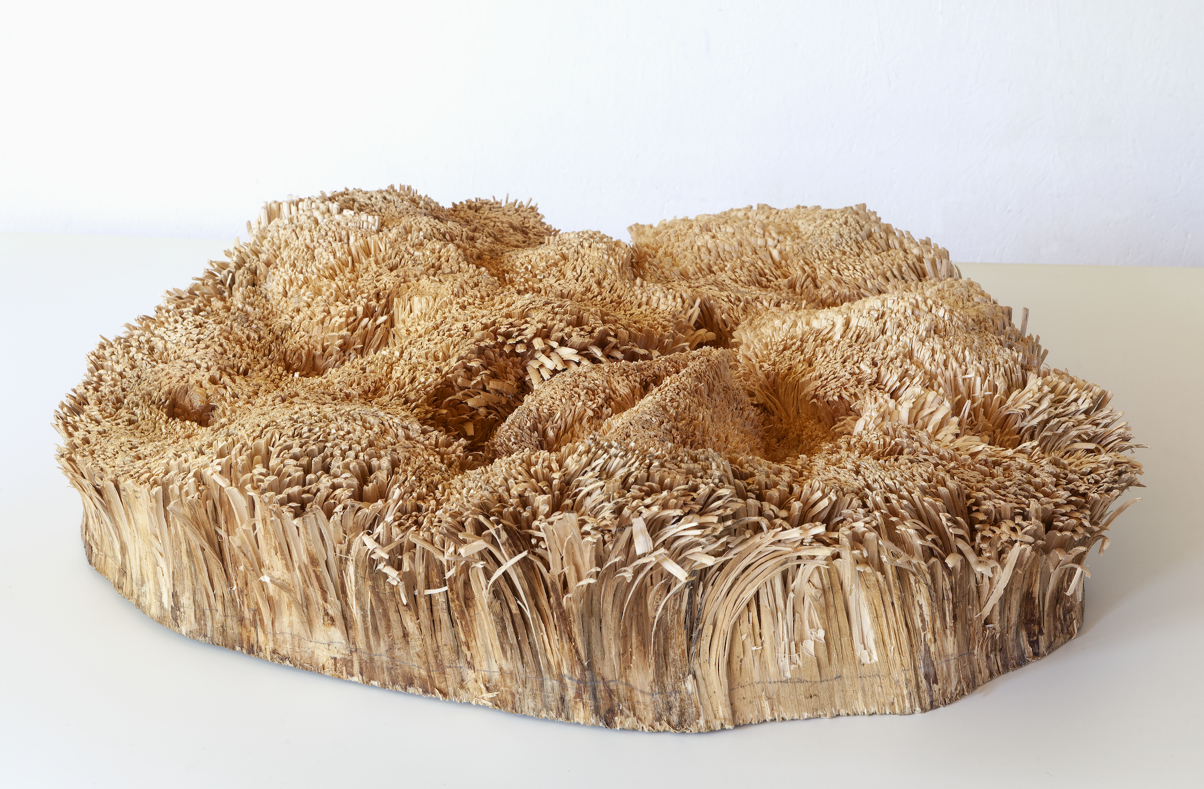 Der Hut im Gras, 2020, spruce wood, pencil, 17 x 75 x 75 cm