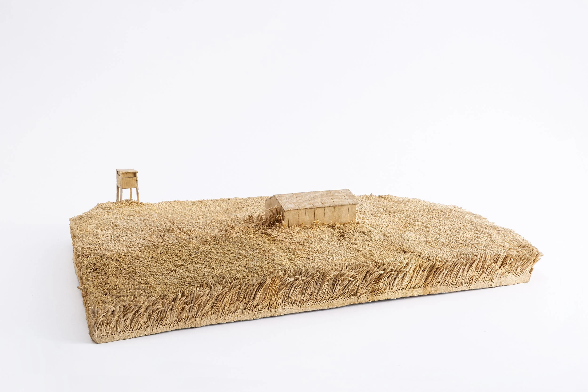 Feld, 2017, limewood, pencil, 10,5 x 68,5 x 42,5 cm, private collection