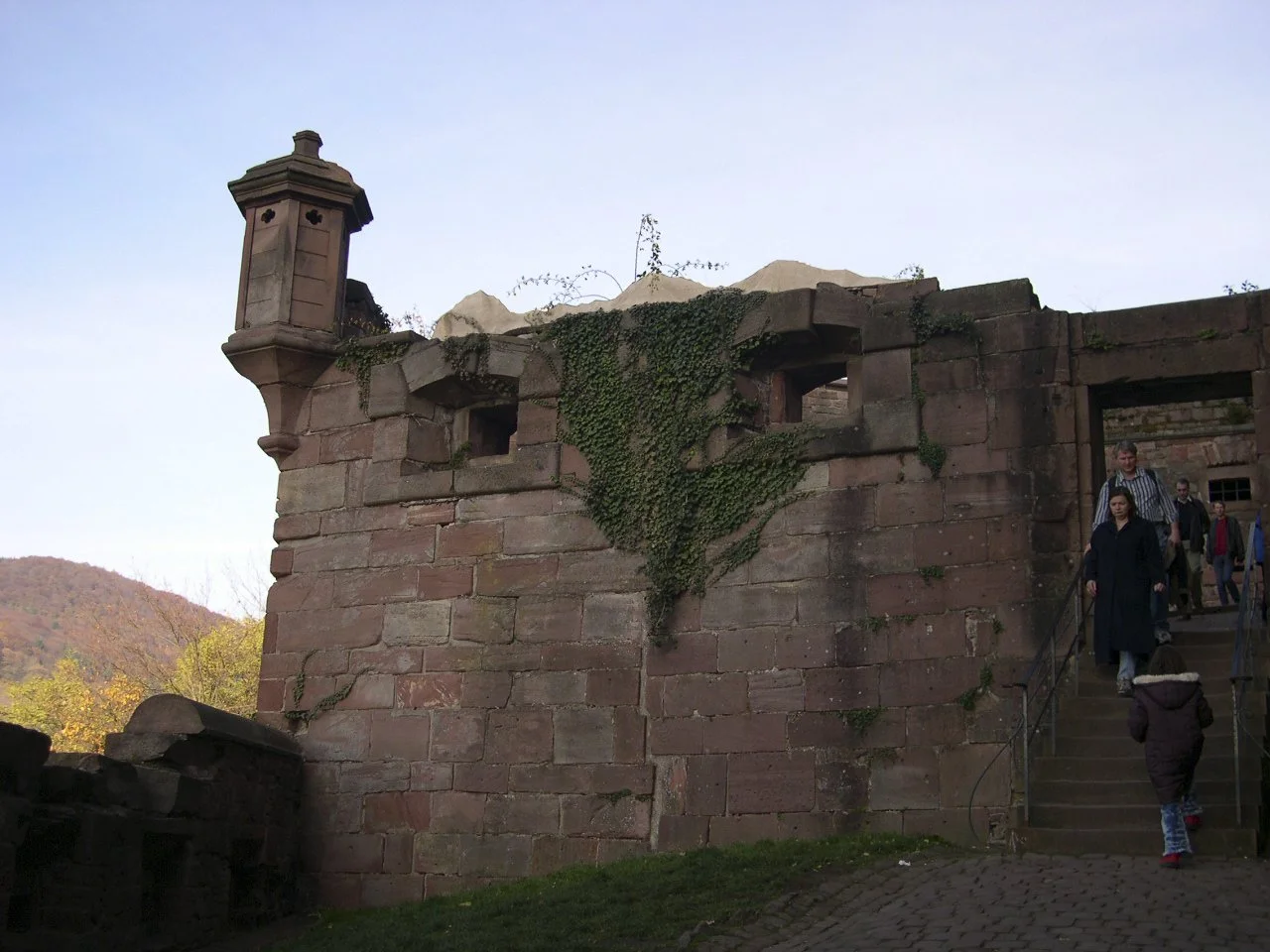 Hausberge, 2002, Douglasie, Schloss Heidelberg, 590 x 75 x 70 cm, temporary installation