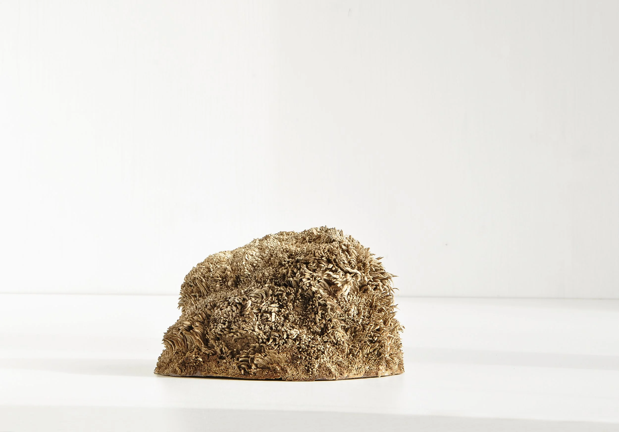 materia 01, 2025, magnolia, 12 x 18,5 x 14 cm