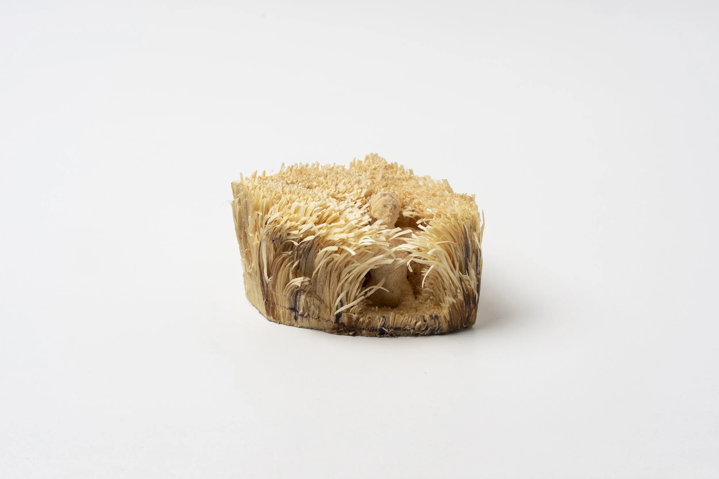Kleines Feldstück 2, 2019, spruce wood, pencil, 5,5 x 10 x 13 cm, private collection