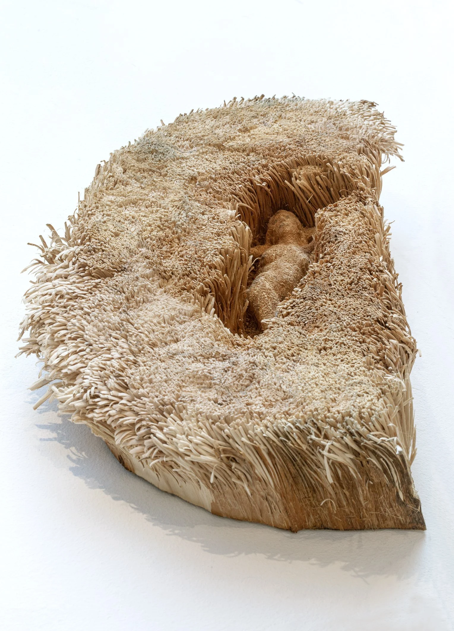 inside..., 2024, willow, pencil, 12,5 x 63 x 34 cm