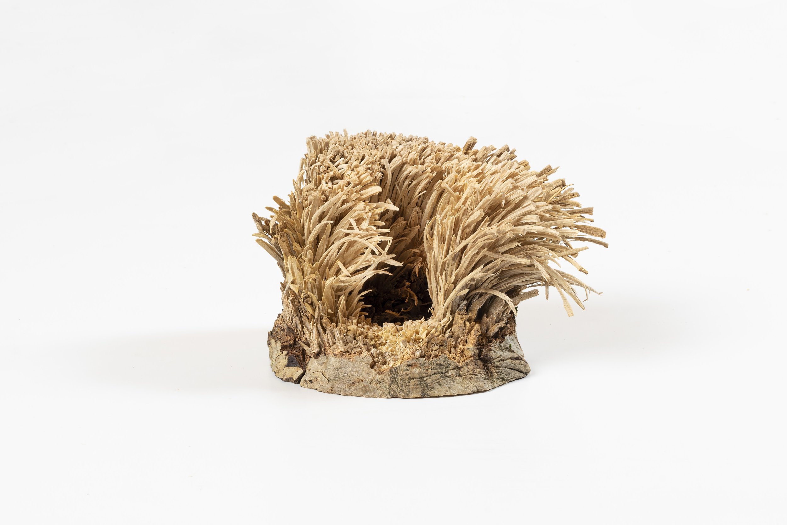 ´Läega´, 2018, Walnut wood, 8,5 x 14 x 9 cm, Collection Michael Heufelder (GER)