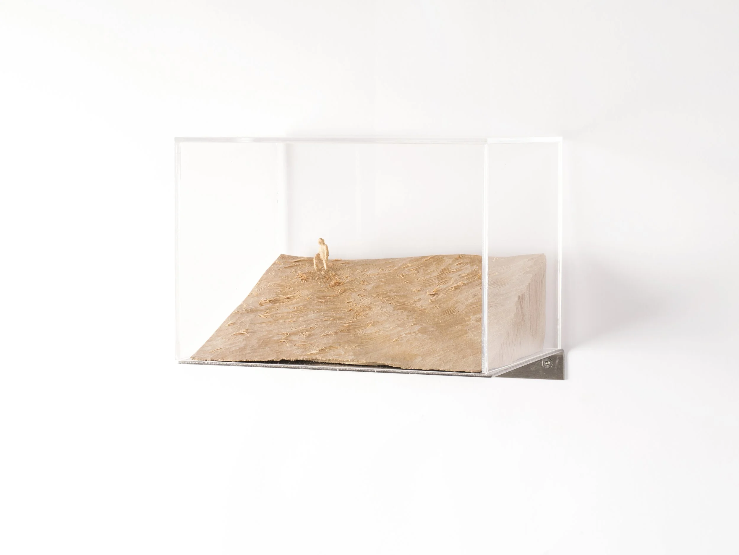 Bergwiese, 2014, limewood, steel, acrylic glass, 18,2 x 14,4 x 14,4 cm, private collection