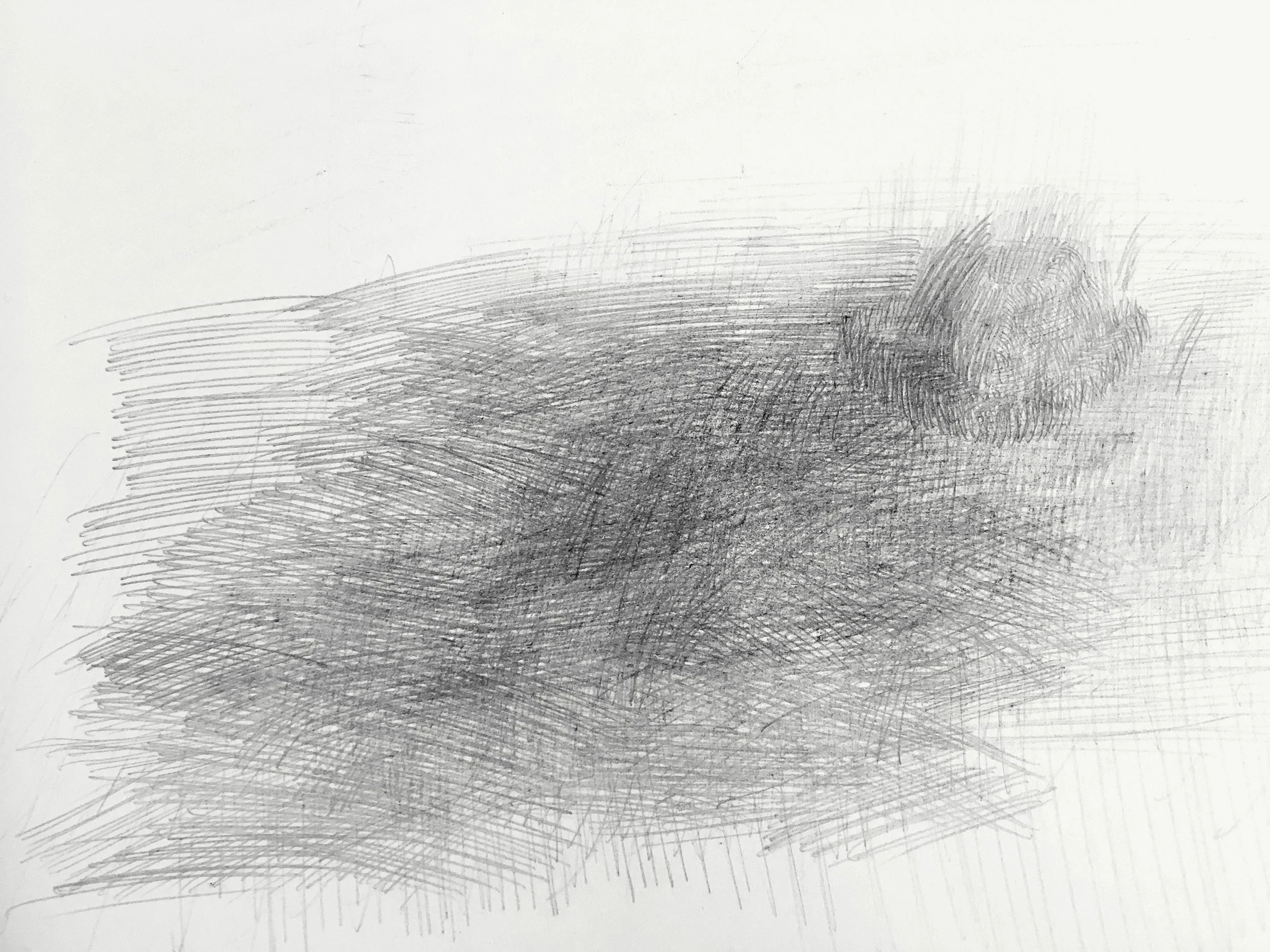 der Hut im Gras, 2019, fine art print, 20,7 x 28 cm, 1/20 + 1 ap