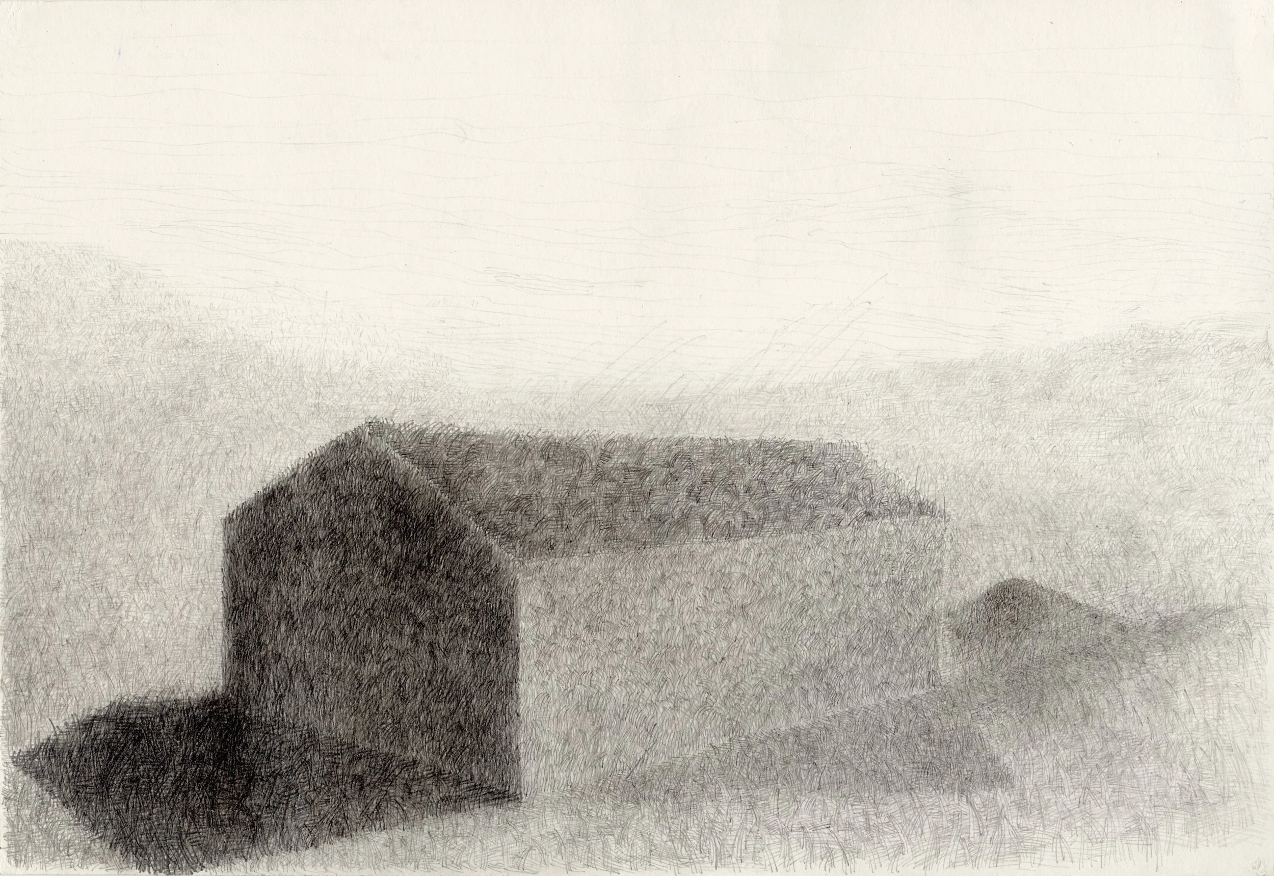 Gras, 2019, Bleistift, Papier, 18,7 x 27,9 cm