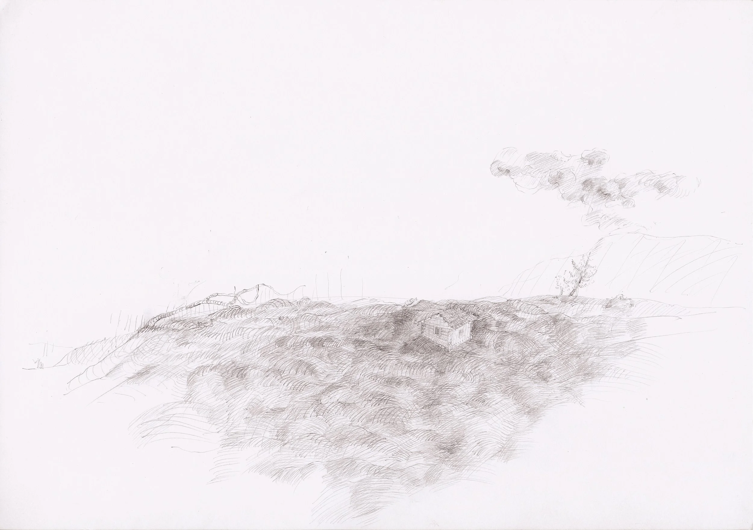 o.T. ('Feldile'), 2014, Bleistift, Papier, 29,7 x 21 cm