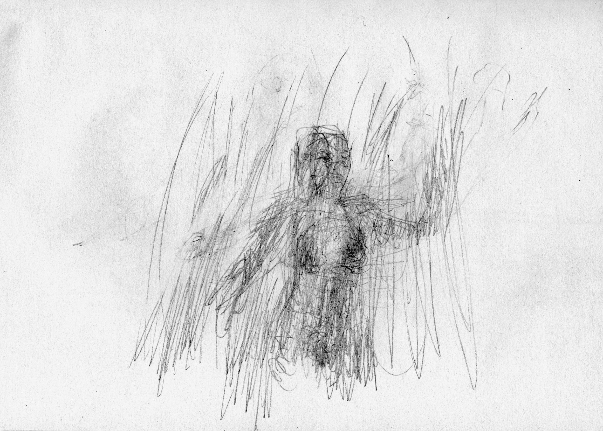 im Gras, 2019, Bleistift, Papier, 24 x 19,2 cm