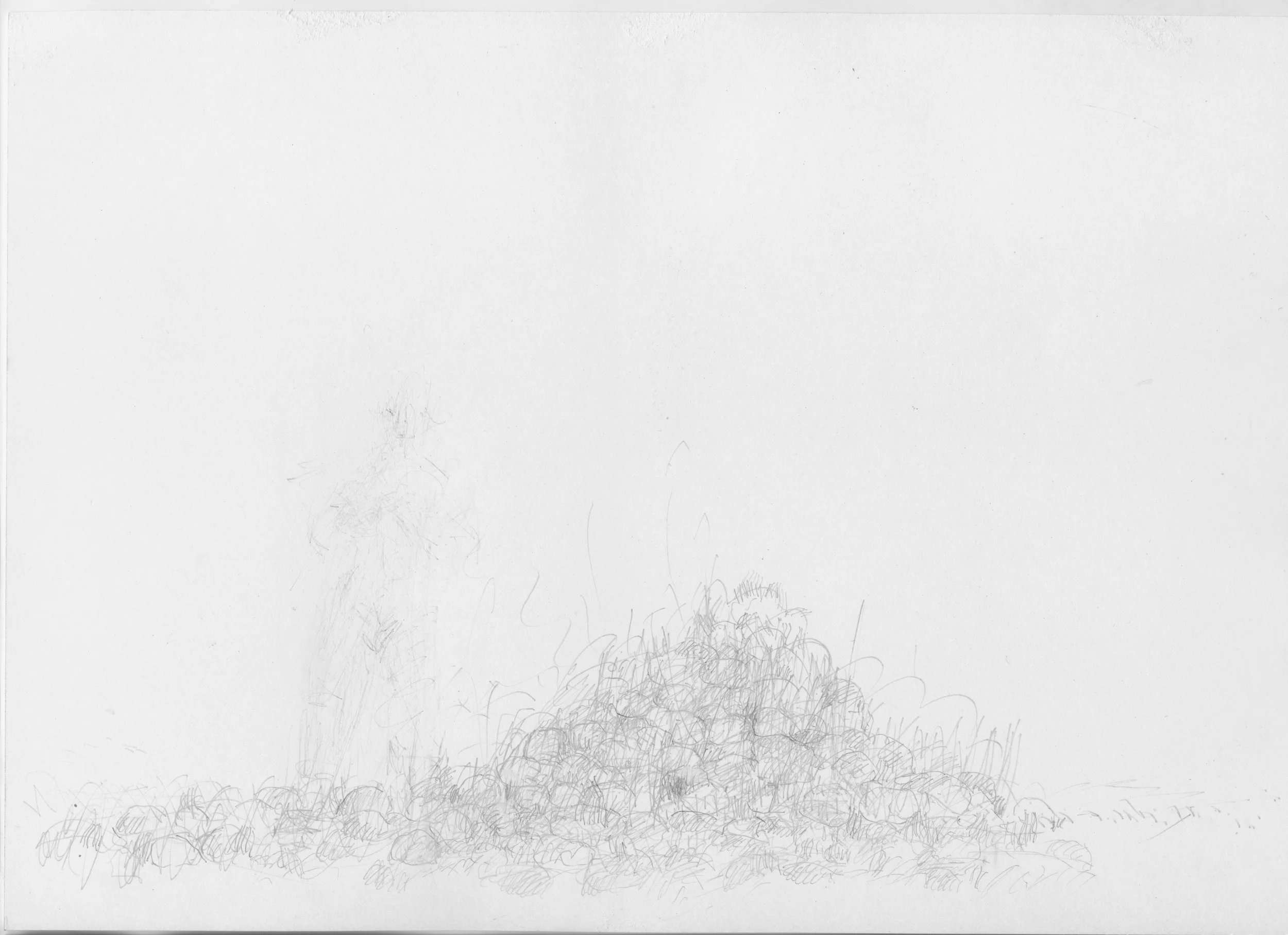Misthaufen 1, 2015, Bleistift, Papier, 29,7 x 21 cm