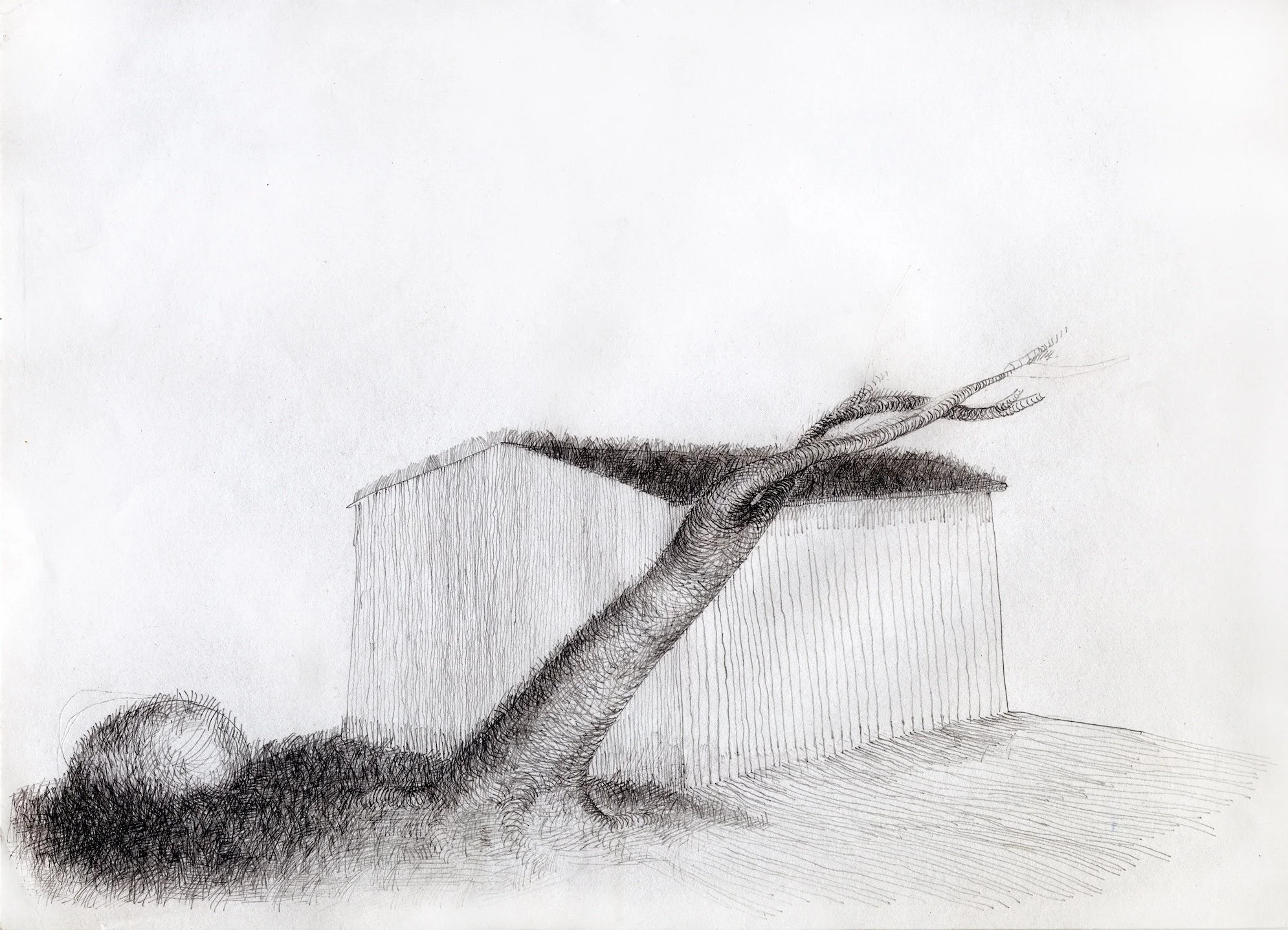 Wind, 2019, Bleistift, Papier, 21,5 x 31 cm