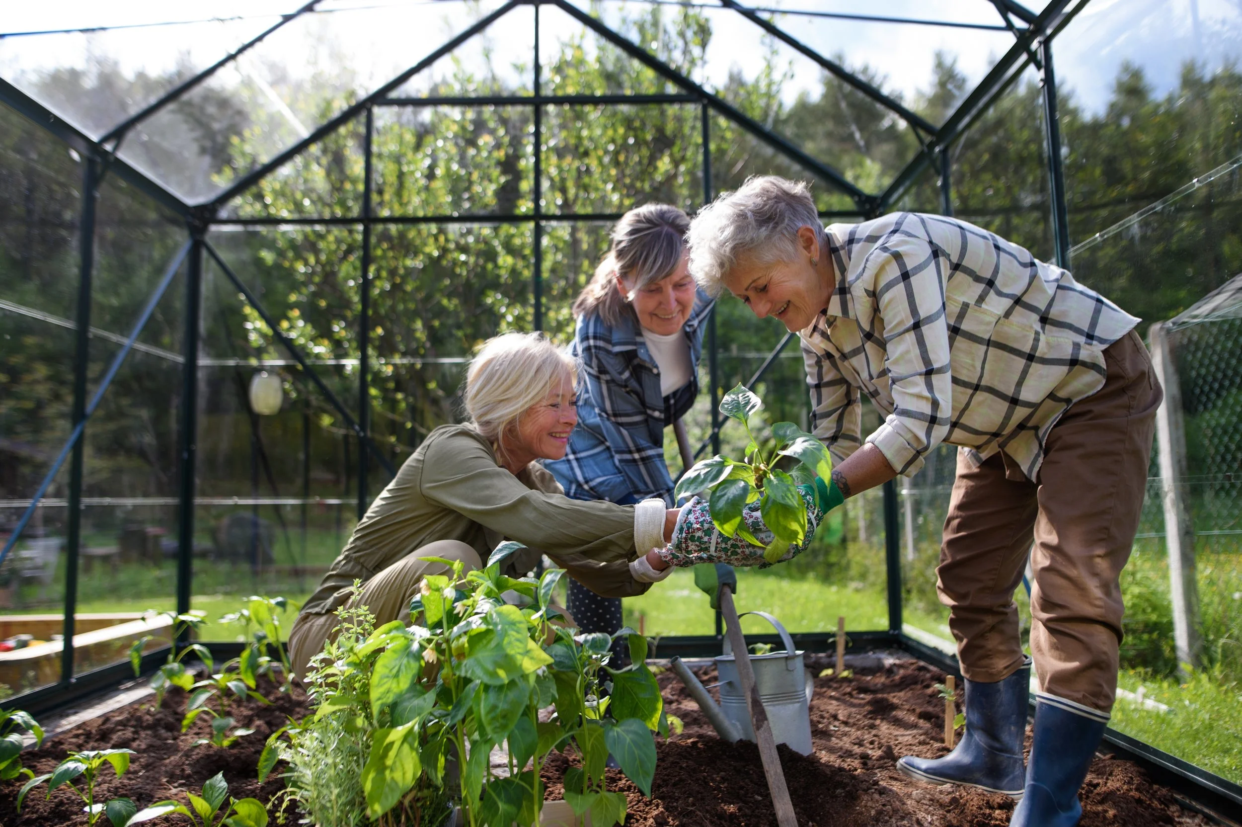 WomenGreenhouseStockPhoto.jpg