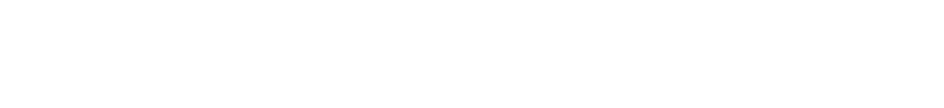 Princess logo with silhouette of a girl with flowing hair