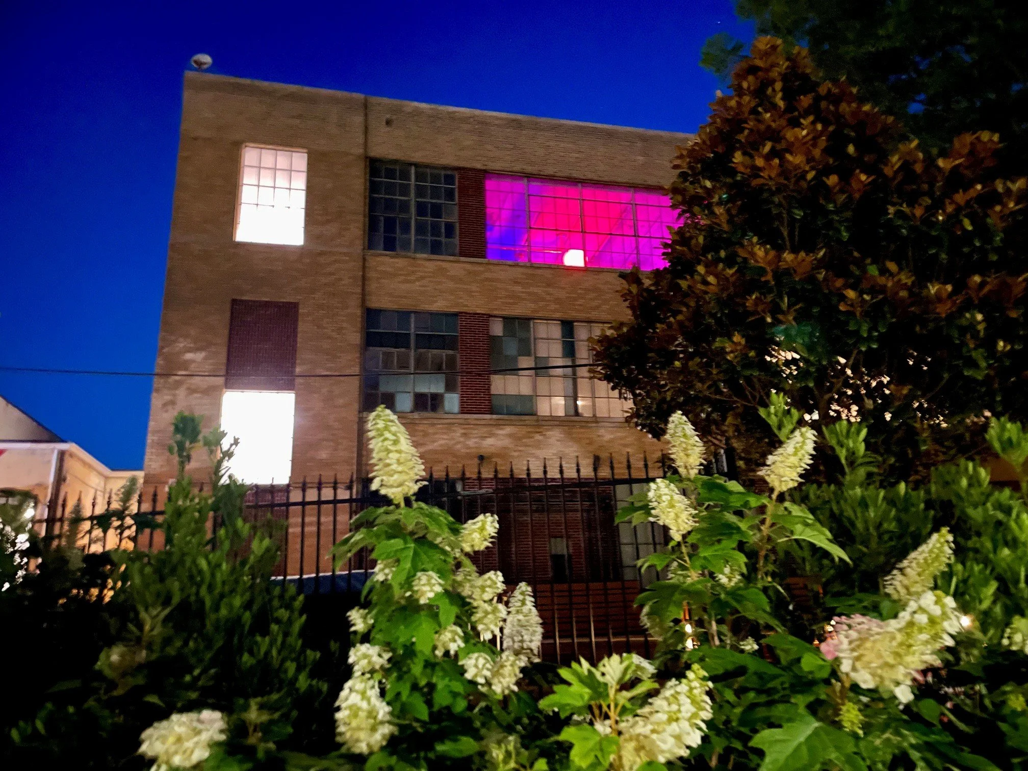 Nighttime view of a brick building with illuminated windows, some of which are lit with purple and pink lights, partially obscured by green bushes and a tree with autumn-colored leaves in the foreground.
