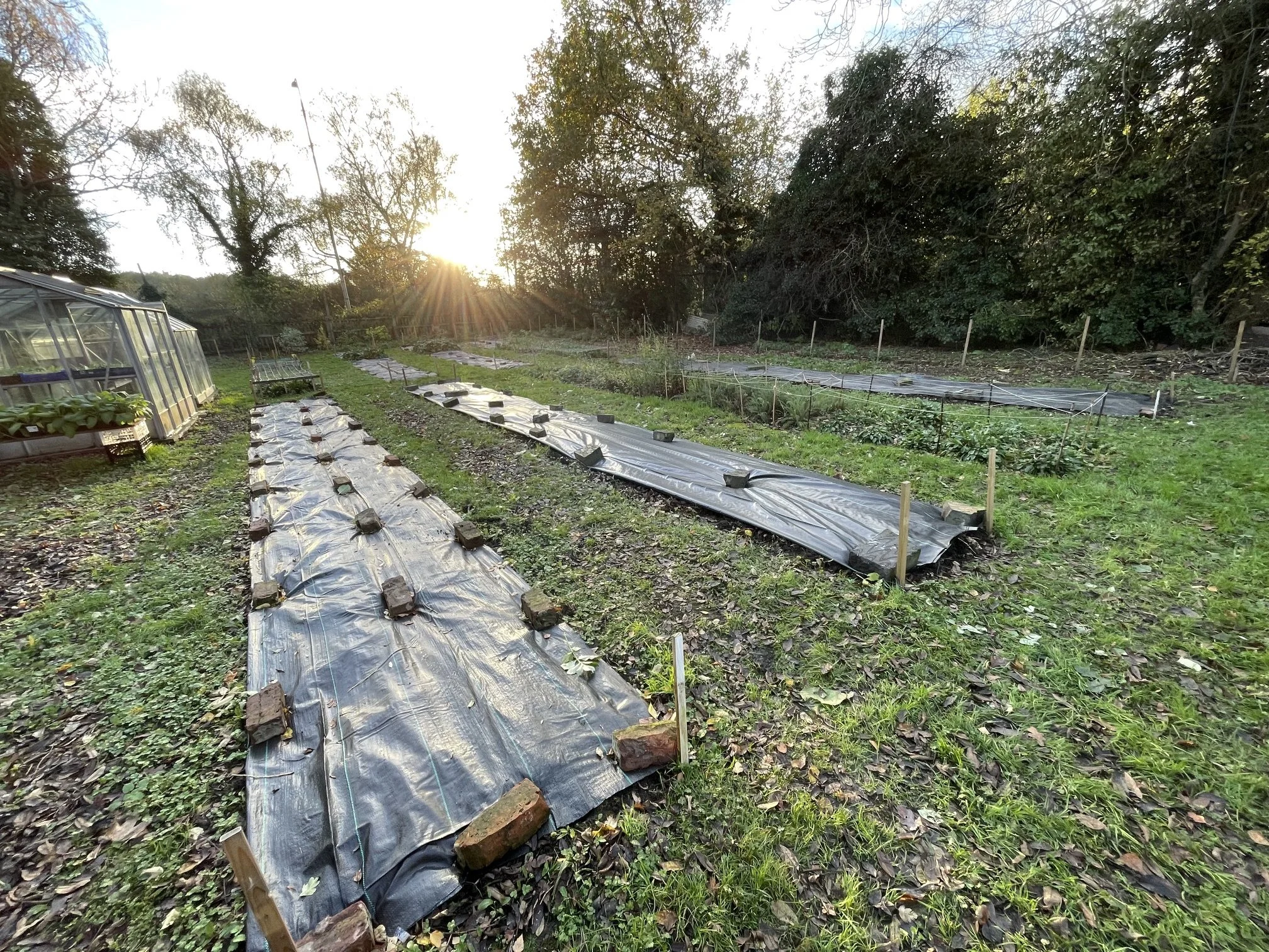 Preparing flower beds for winter at Cabbage Patch Flowers.