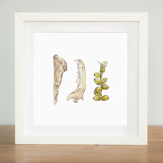 Found Objects Print (Copy)