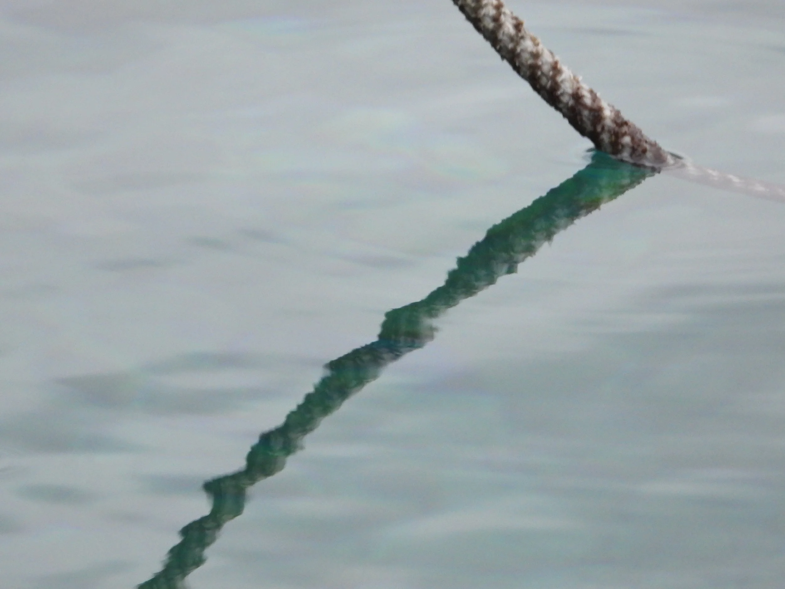 A close-up of a pipe sticking out of calm water, with the pipe's reflection visible on the water surface.