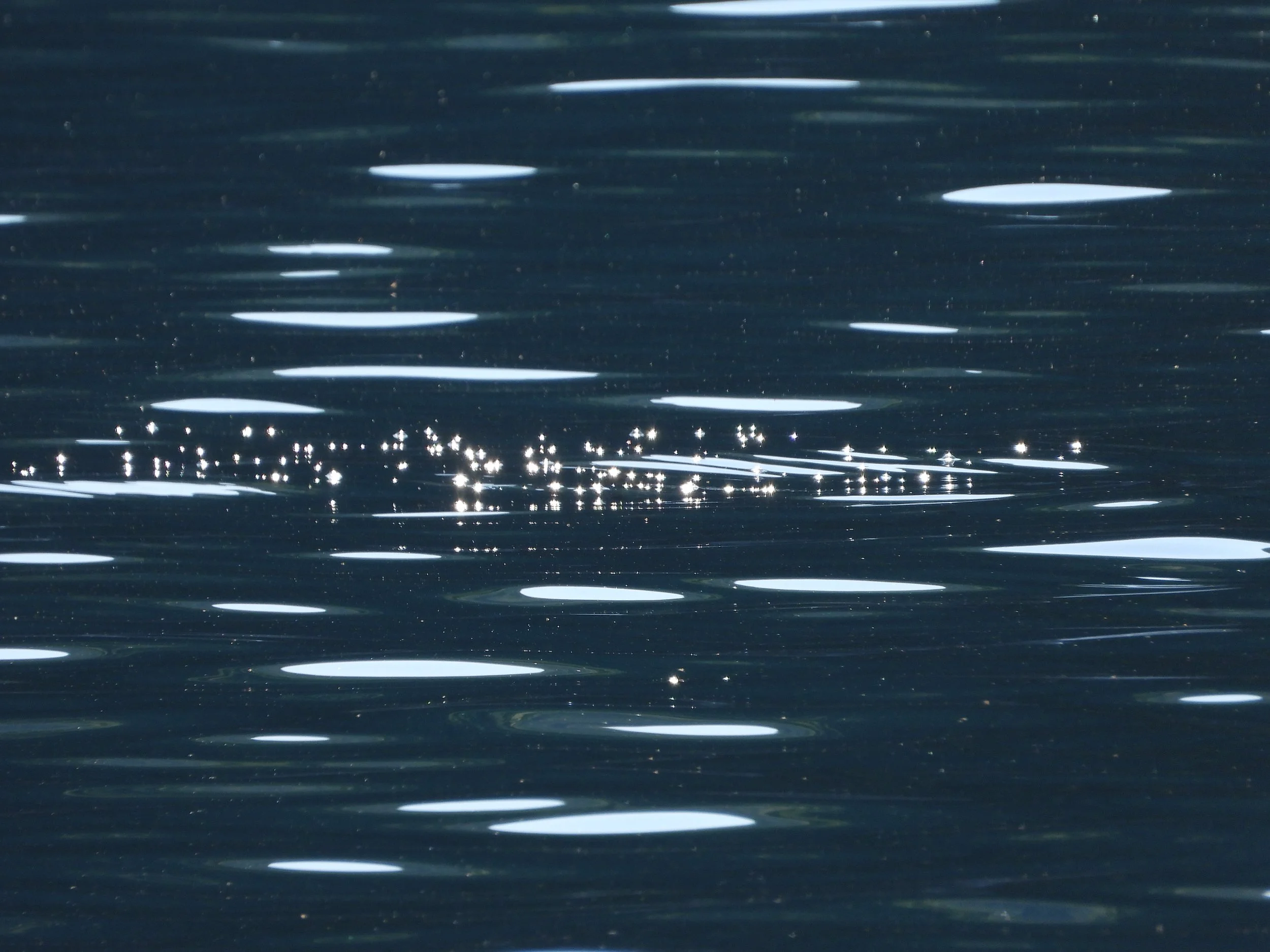 Reflection of sunlight on a dark water surface with small ripples.