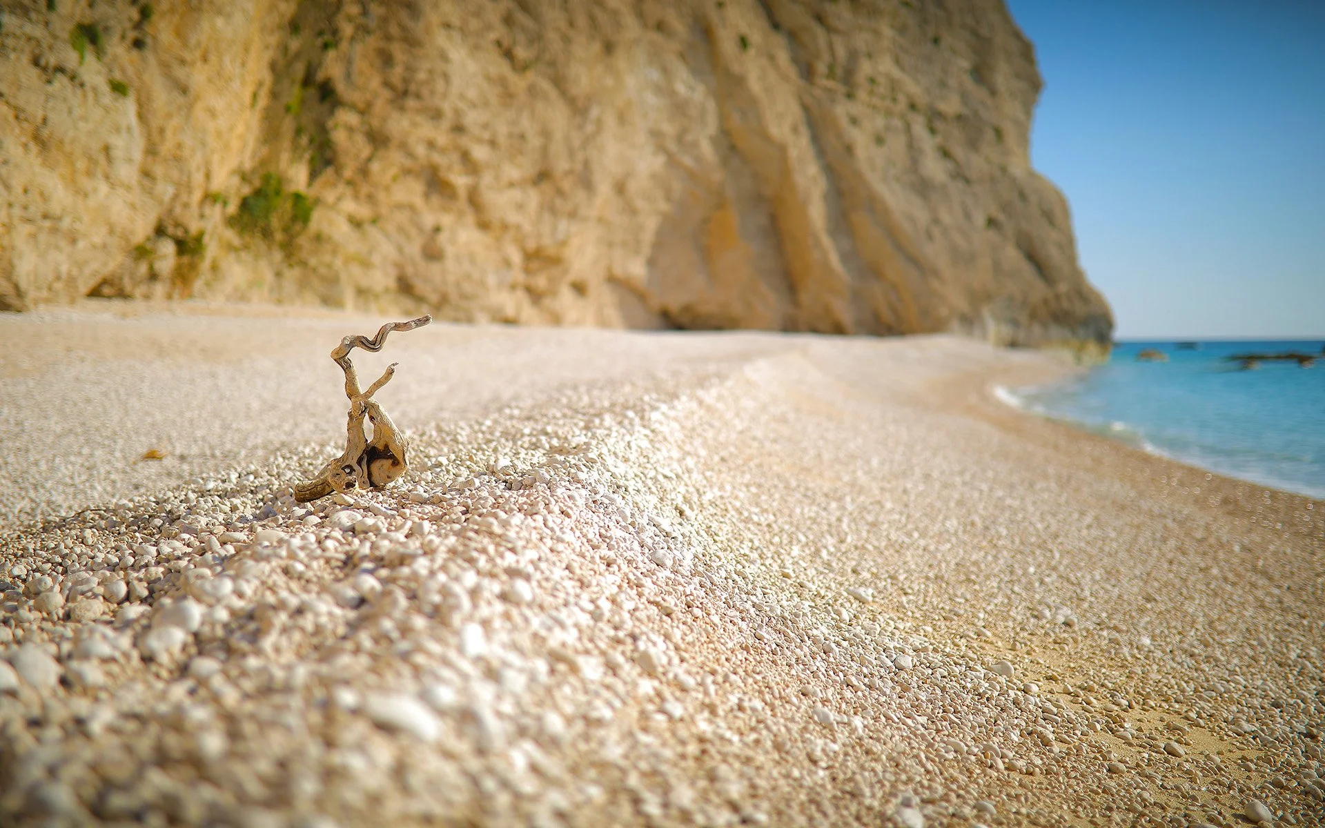 A small piece of driftwood on a sandy beach with a large rocky cliff in the background and the ocean on the right.