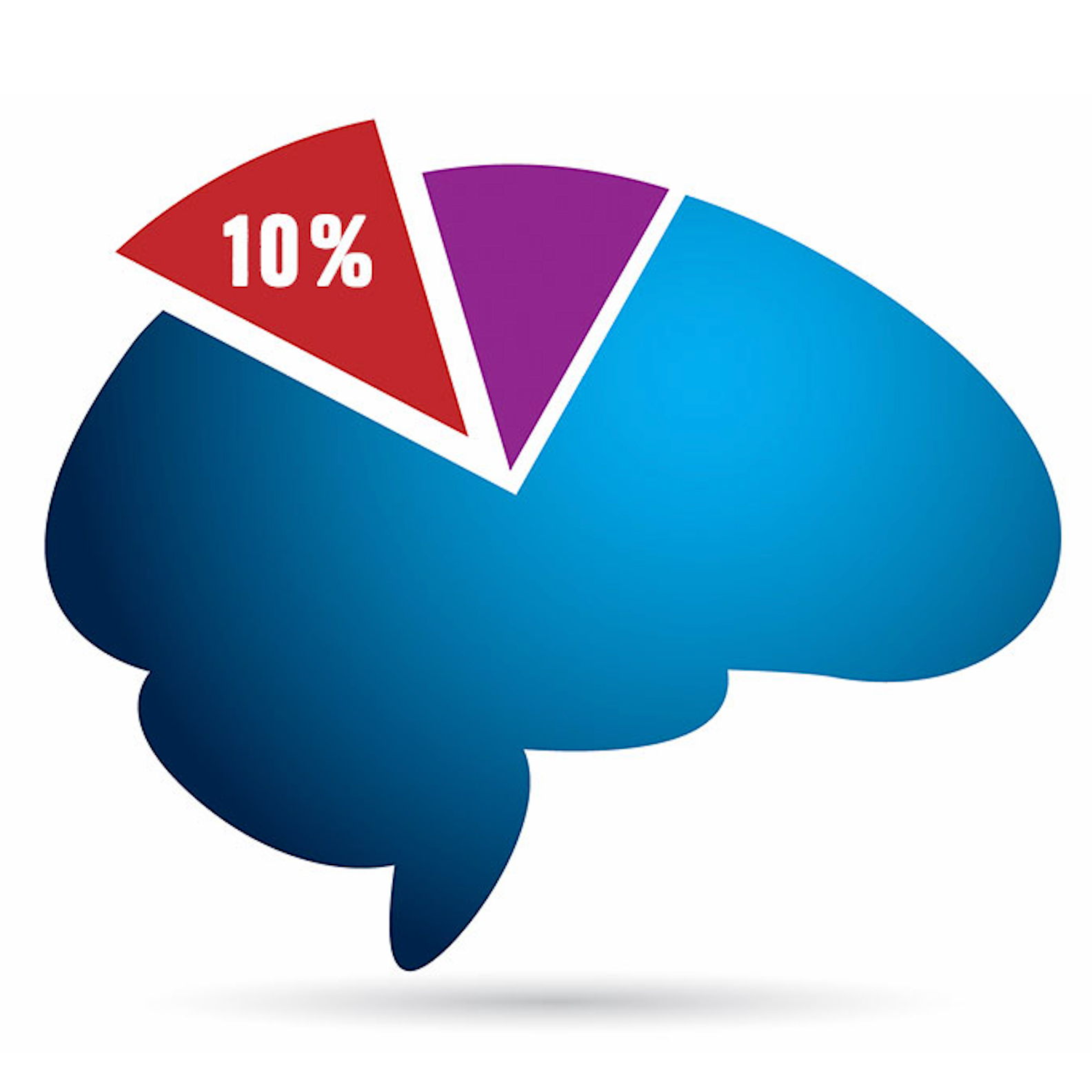 우리는 뇌의 10%만 쓴다는 거짓말