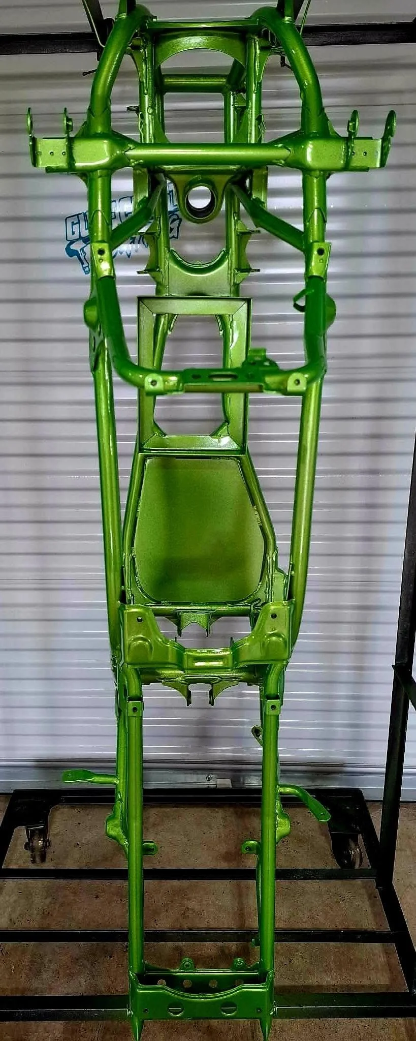 Banshee Frame Illusion Bionic Frog.jpg
