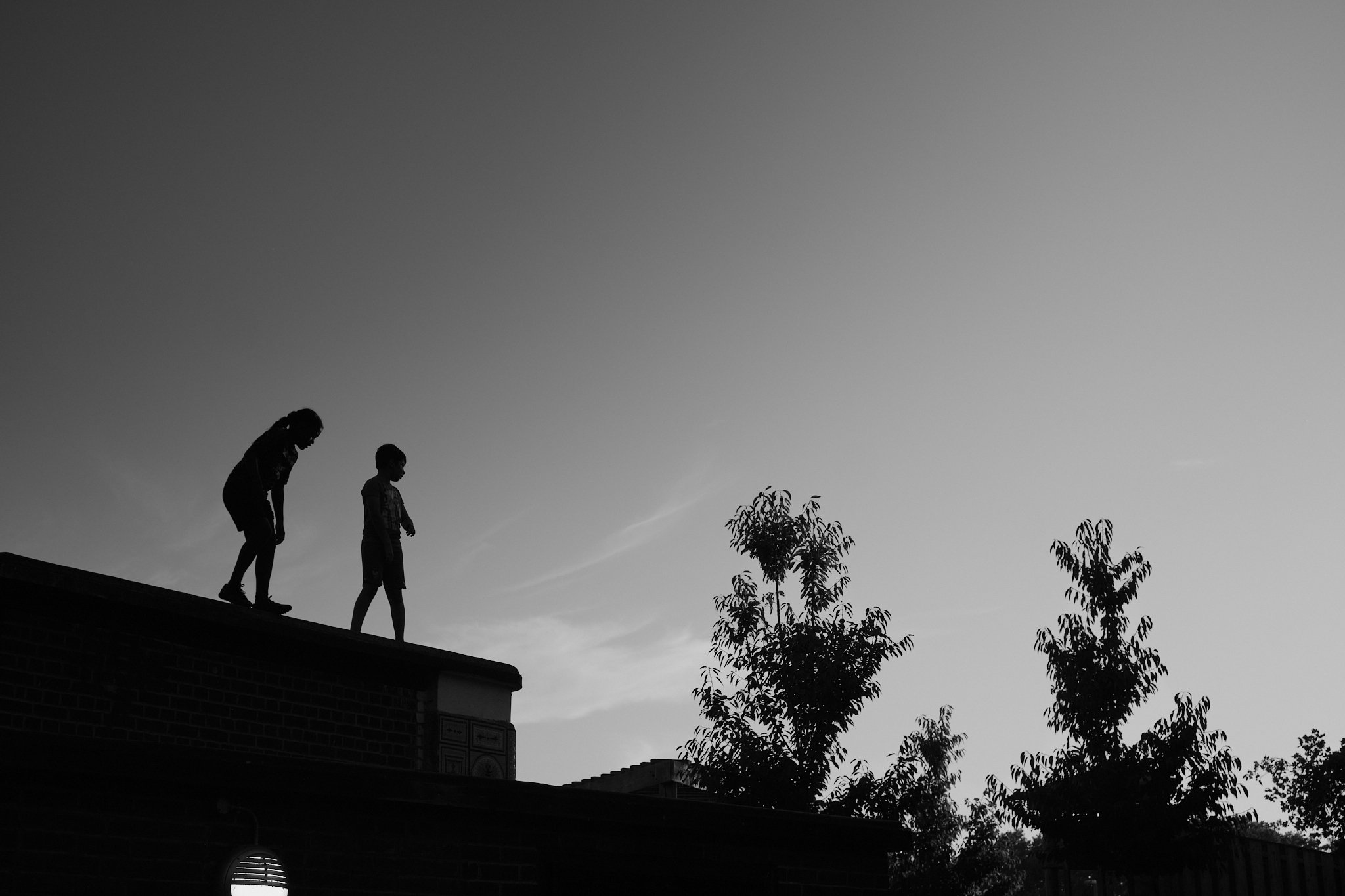 Silhouettes of three children walking in a line on a rooftop edge, with trees and a sky in the background.