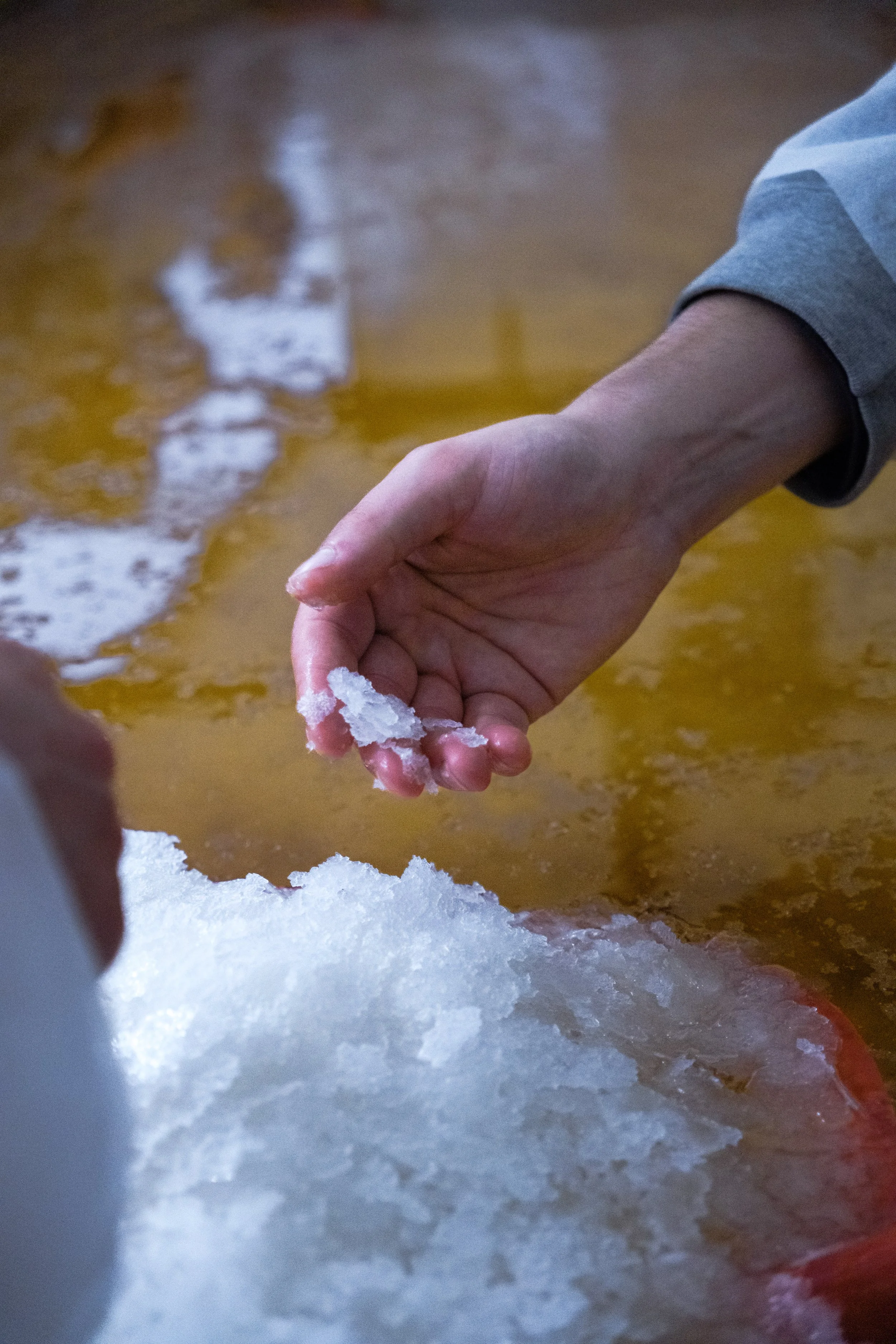 Salt-08.jpg