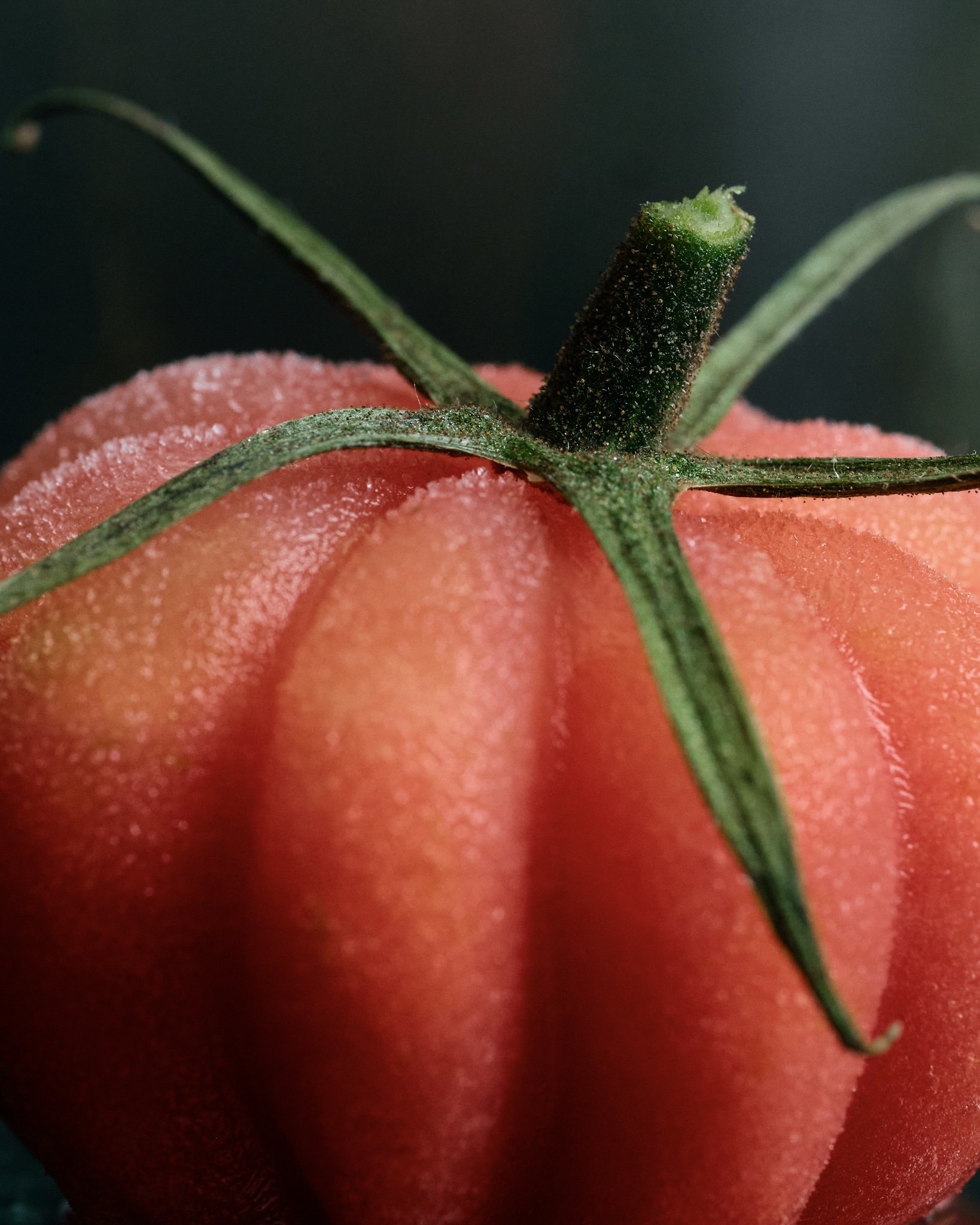 Close-up of a red tomato with green stem and sepals, showing the tomato's fuzzy surface and the black pistil at the center.