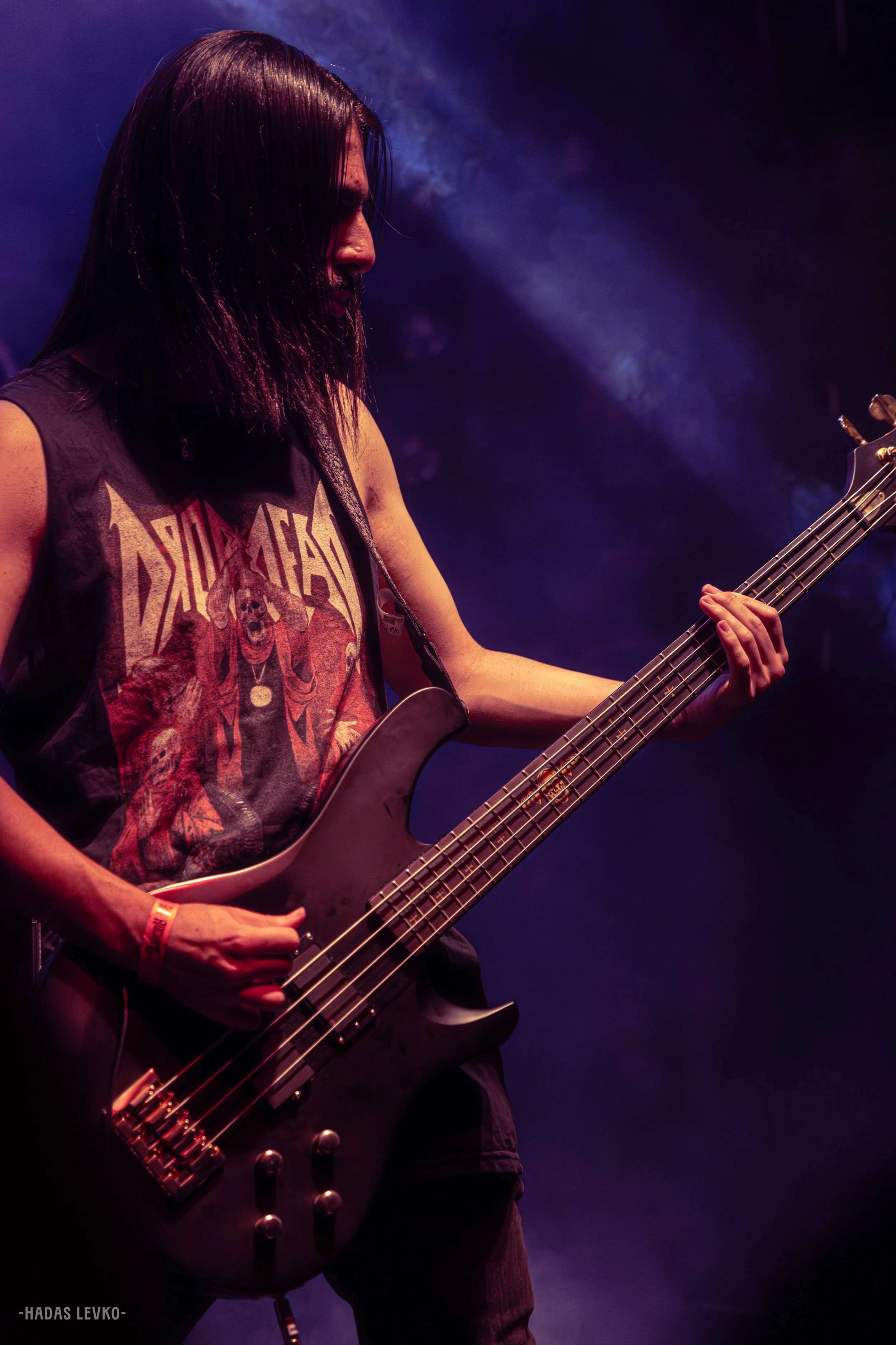 live concerts