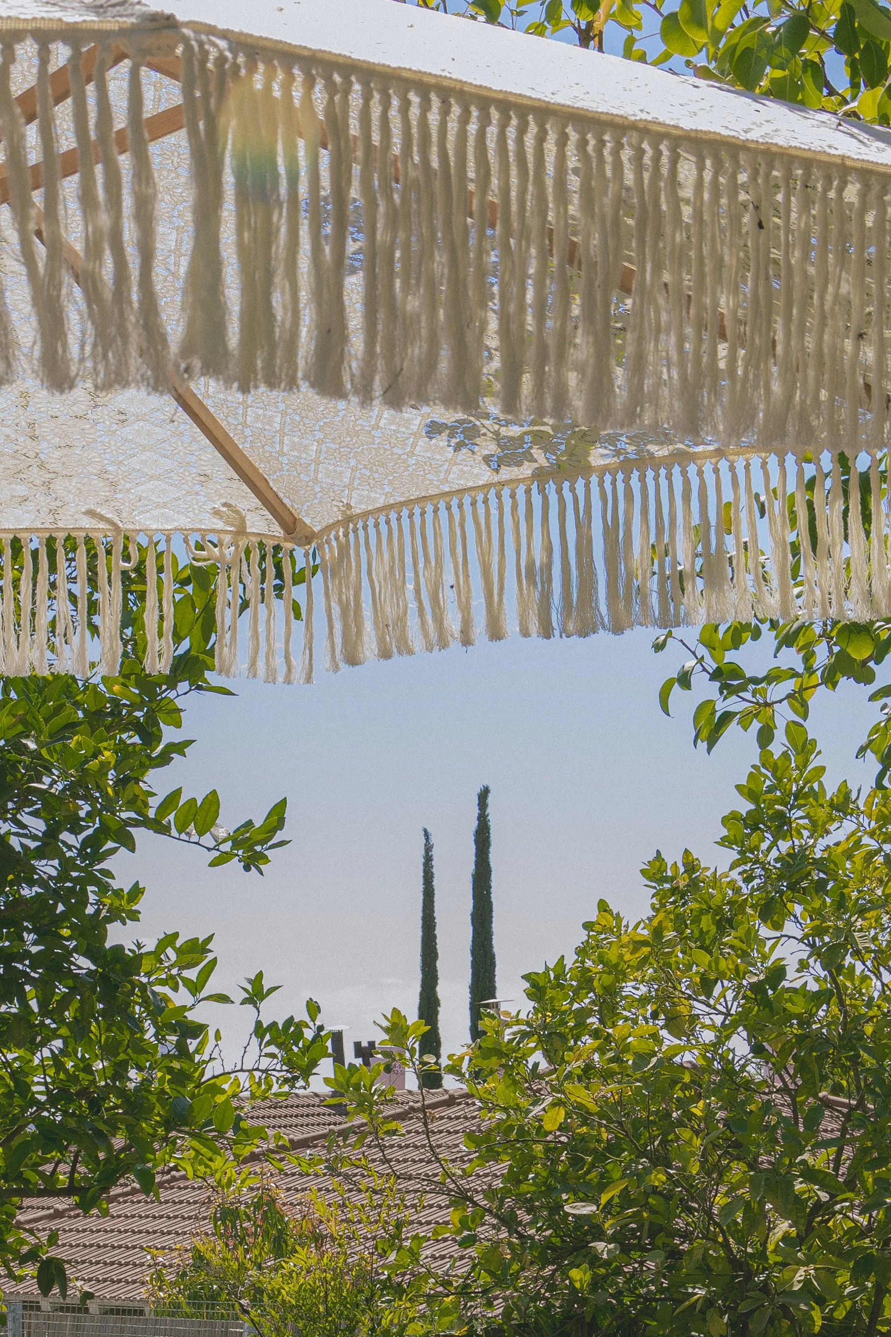 View of trees, rooftops, and a partly cloudy sky from below, with bright sunlight causing lens flare. athmosphere photoshoot, צילומי אווירה, צילומים לעסקים, תדמית לעסקים, צילומי חוץ