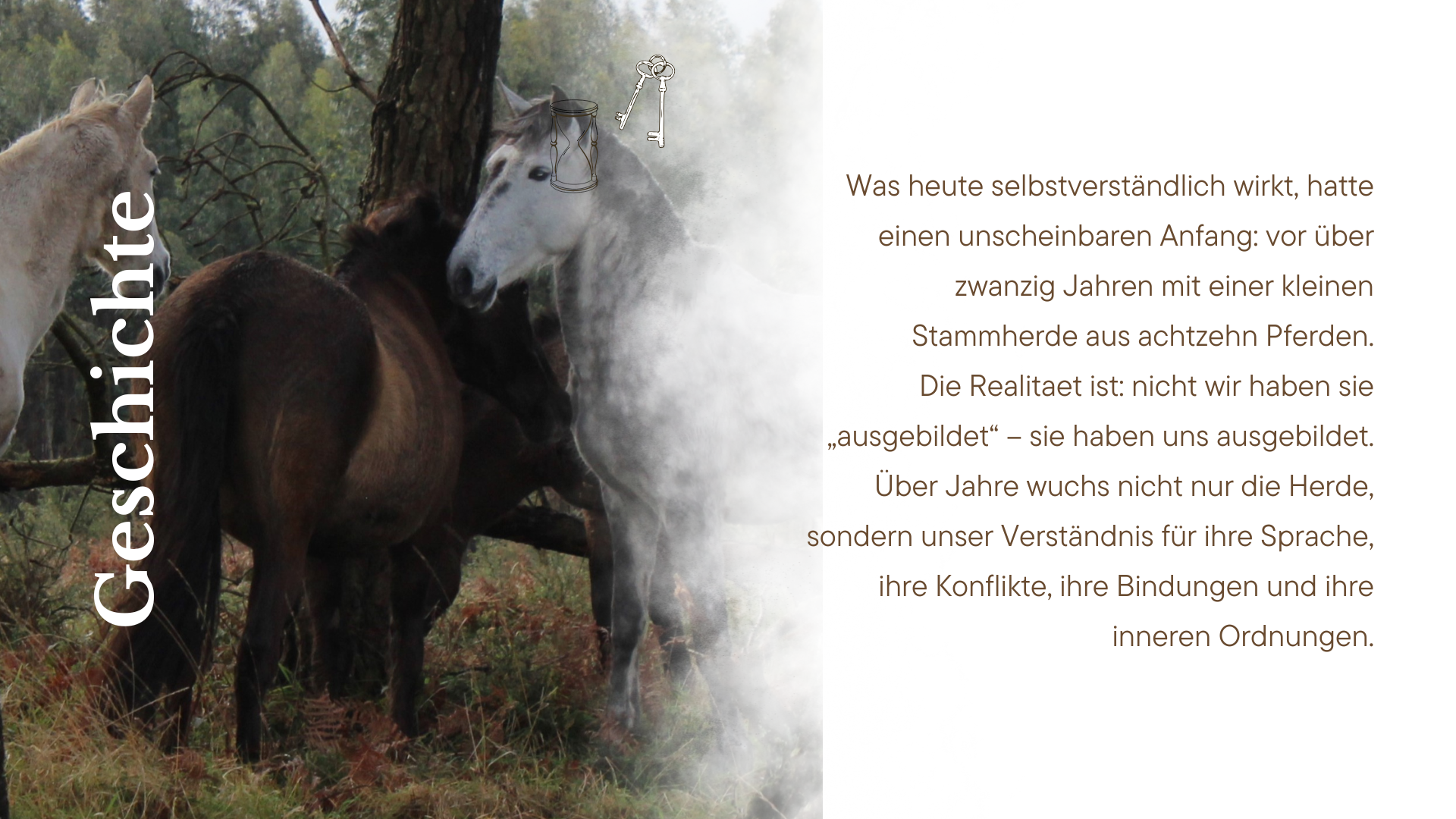 Stark Ranch (4).png