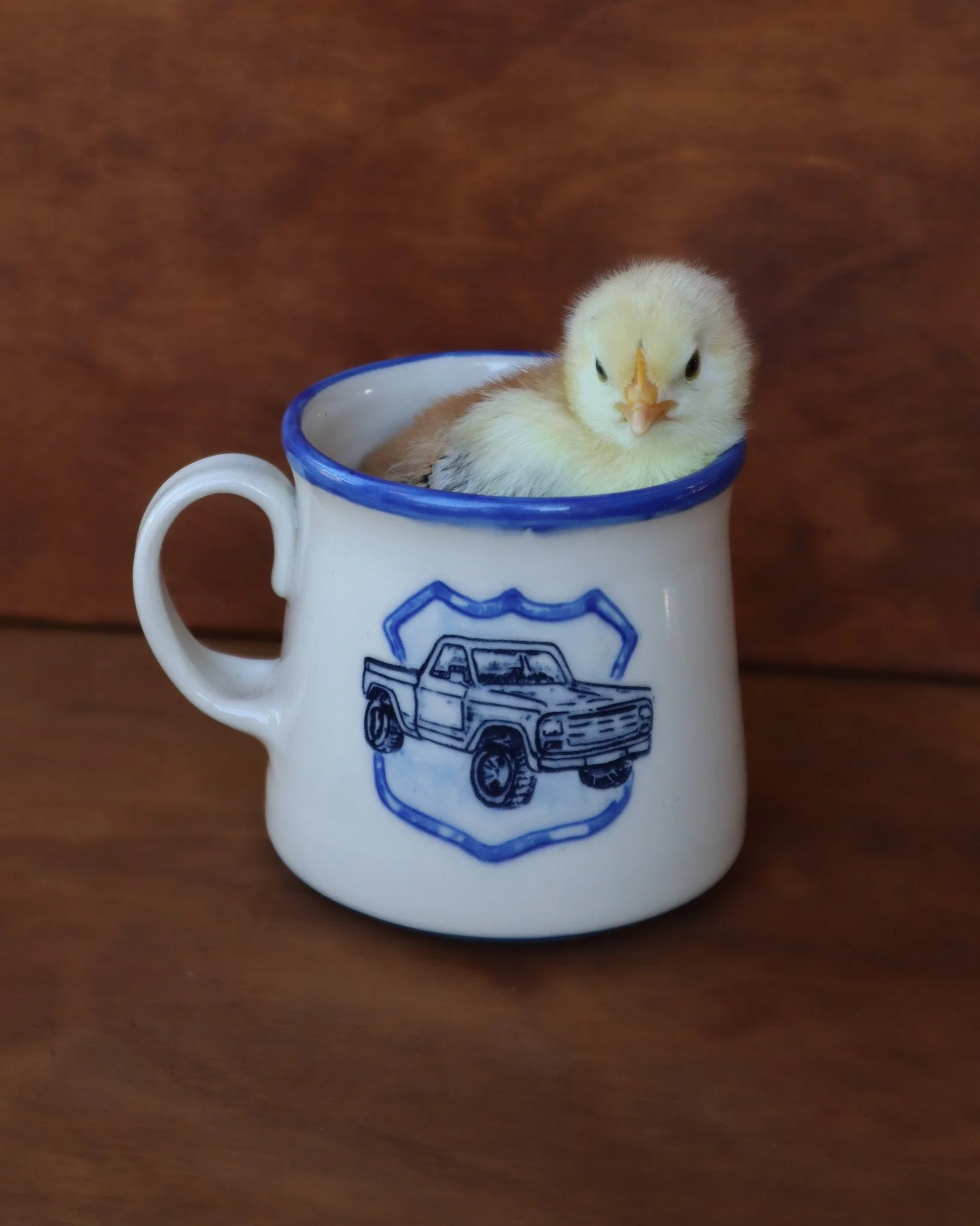 Pickup Truck Mug