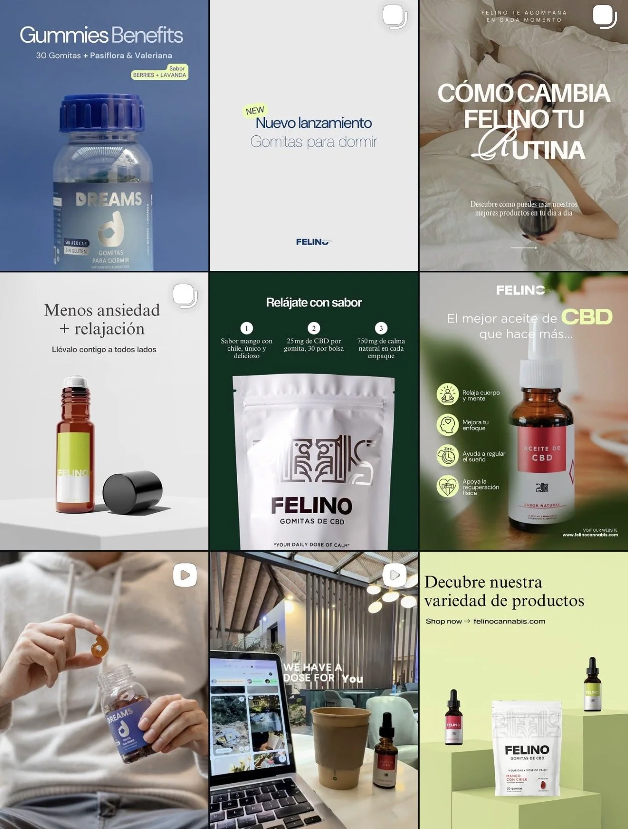 Varias imágenes promocionales de productos de bienestar y salud, incluyendo gomitas de CBD, aceite de CBD, y suplementos naturales, además de fotos de personas usando estos productos y un espacio de oficina o cafetería.