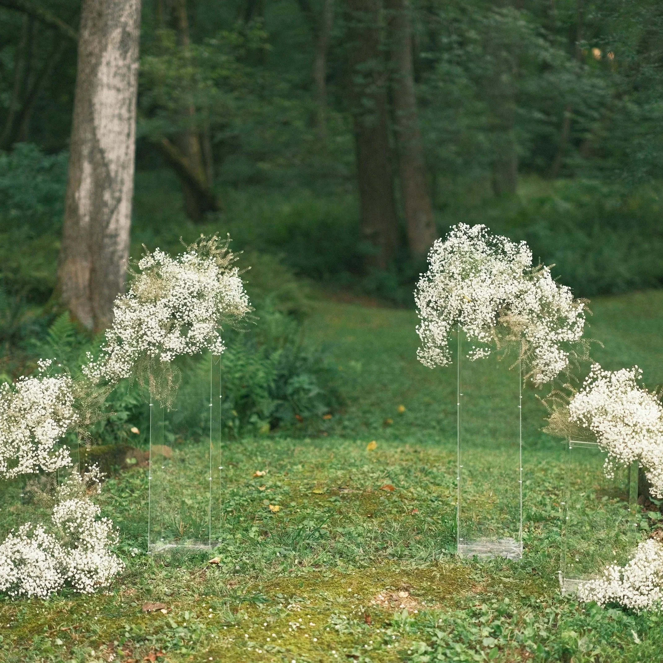 A forest scene with trees and green foliage, with white flowers in the foreground. Wedding baby's breathe arch