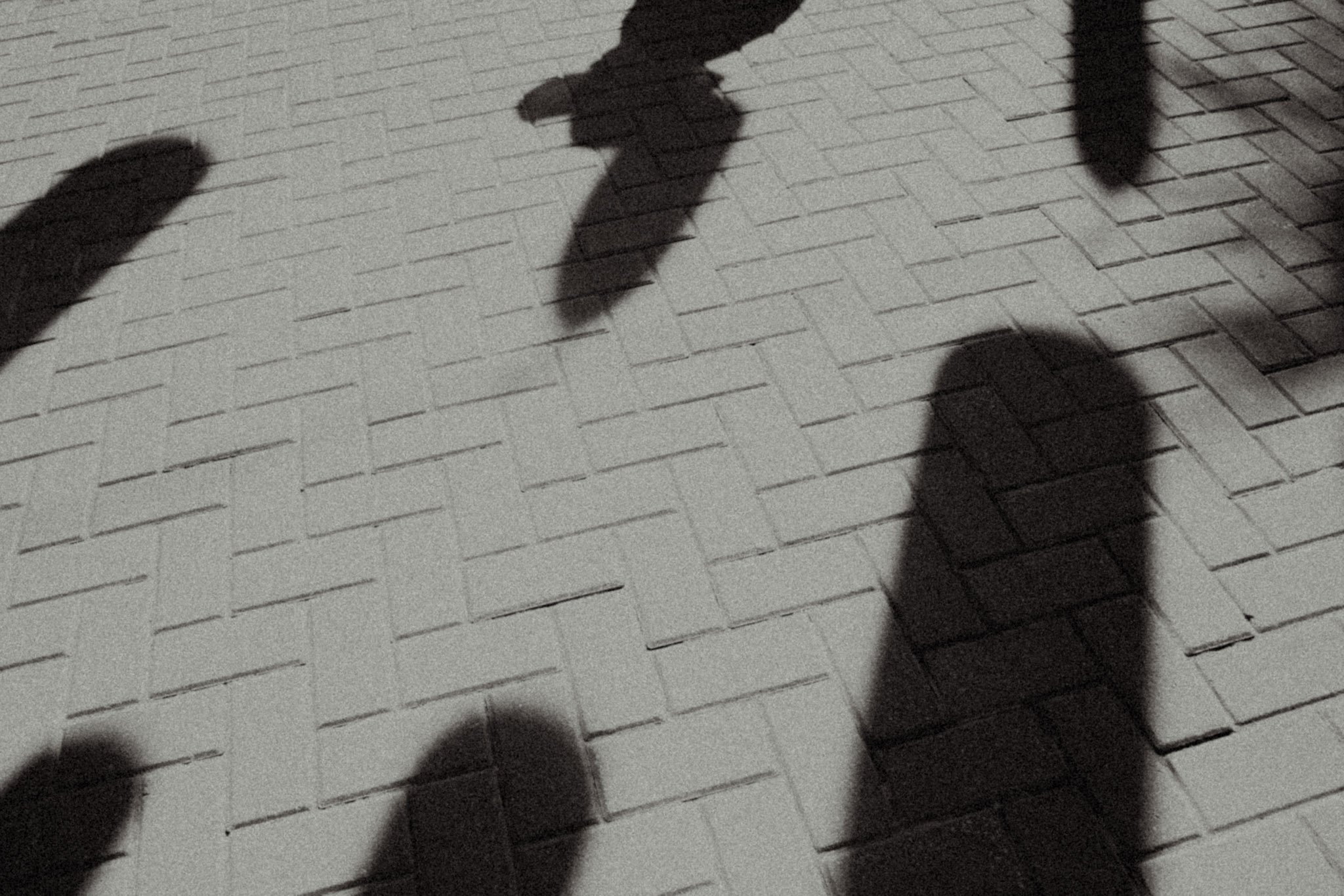 24-DSC07429.jpg
