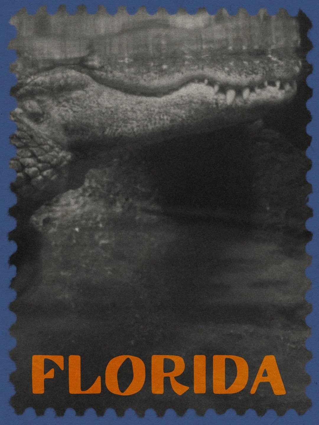 Gator.jpg