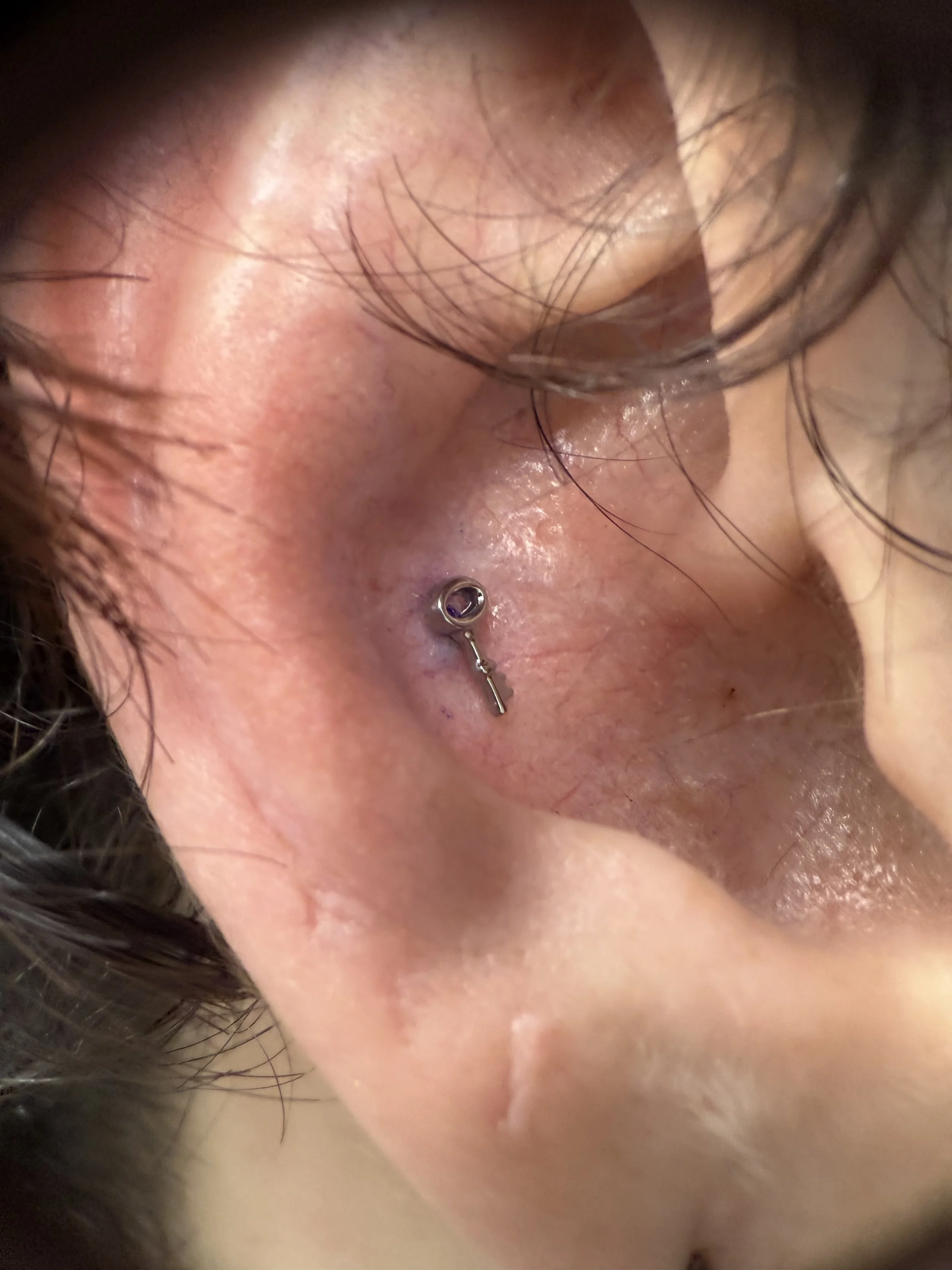 conch copy.jpg