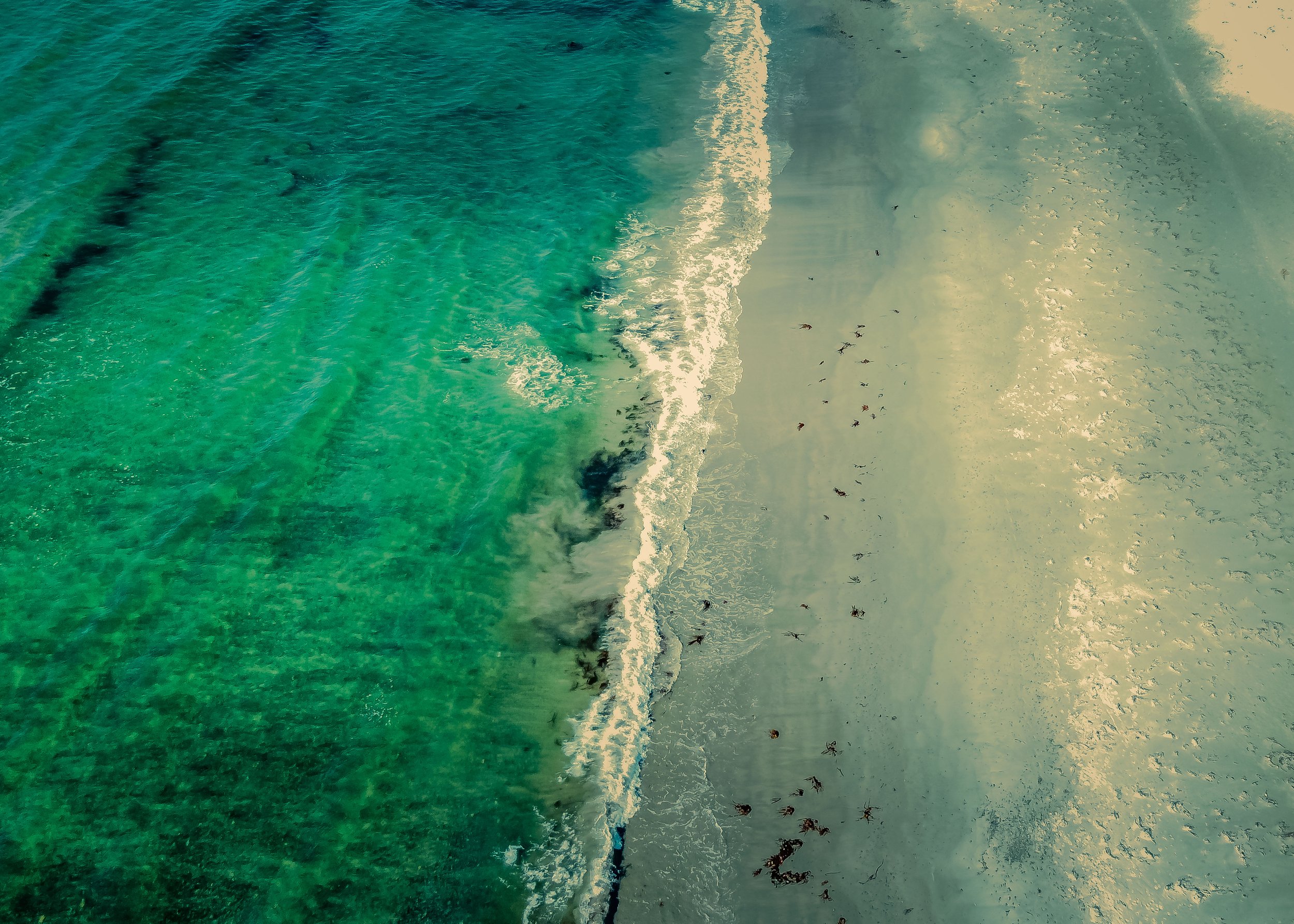 dji_fly_20240507_162534_113_1715096663841_photo_optimized.jpg