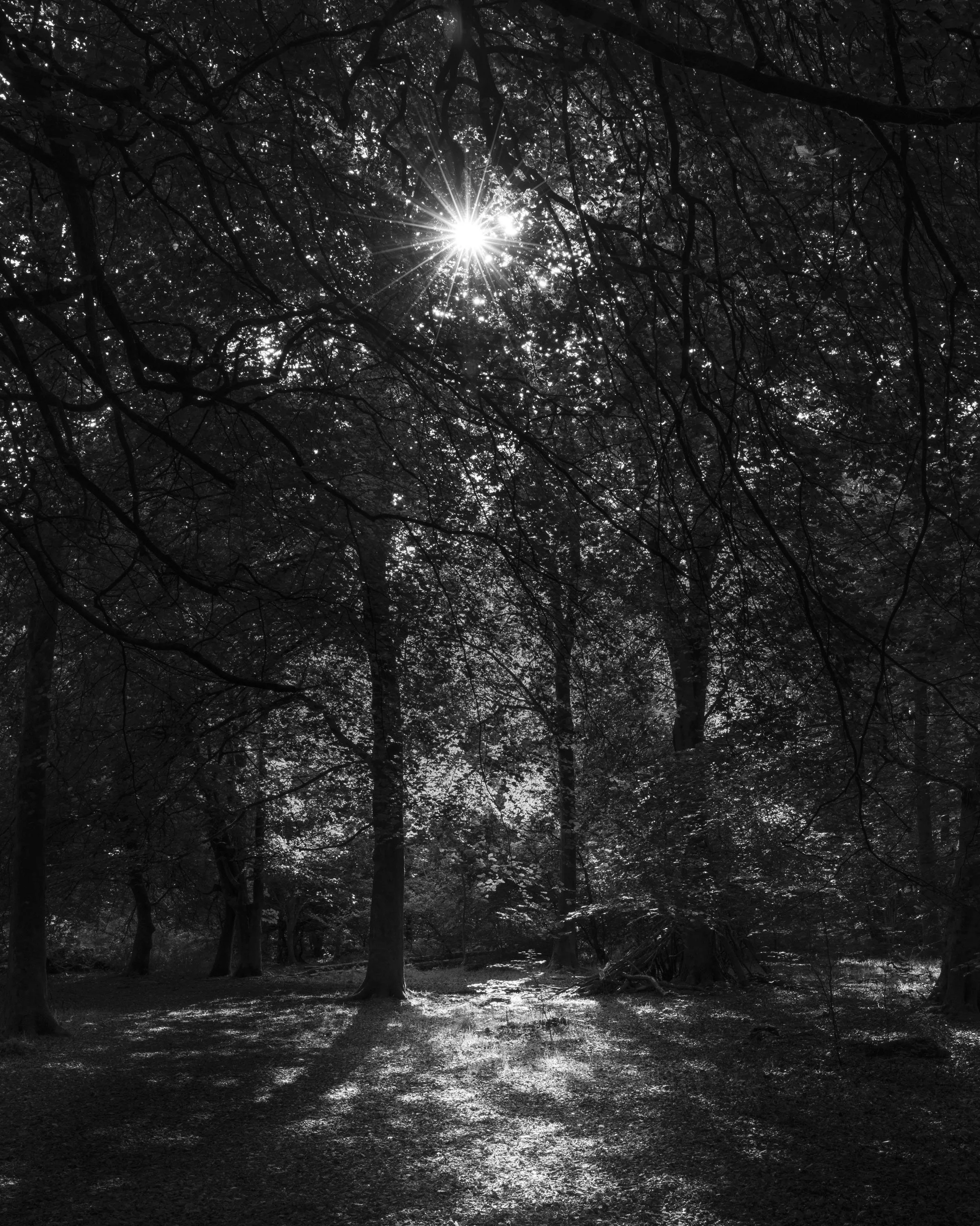_IR_0789 copy.jpg