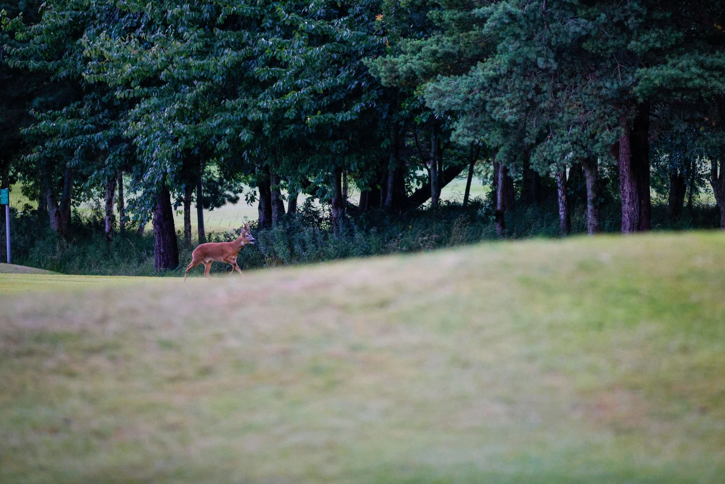 260804 PM Shots  0064.jpg