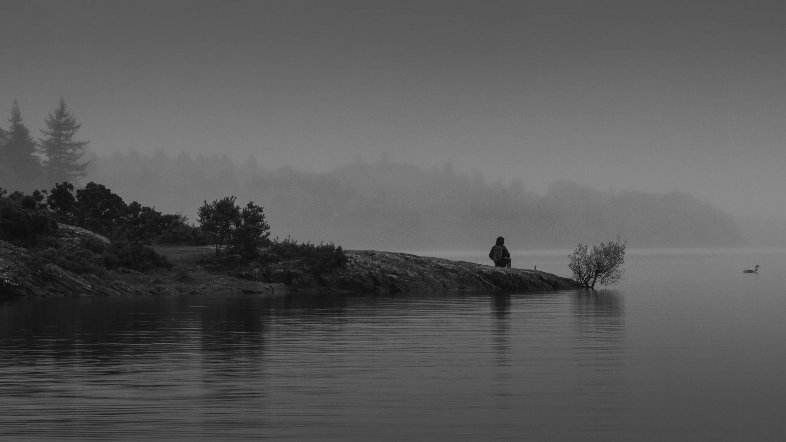 _MG_8810.jpg
