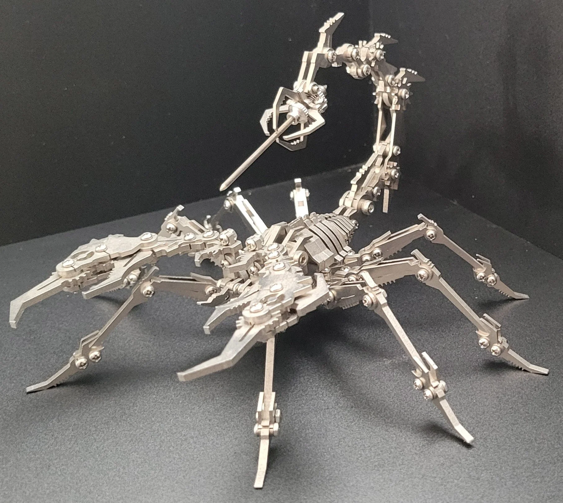 scorpion2.jpg