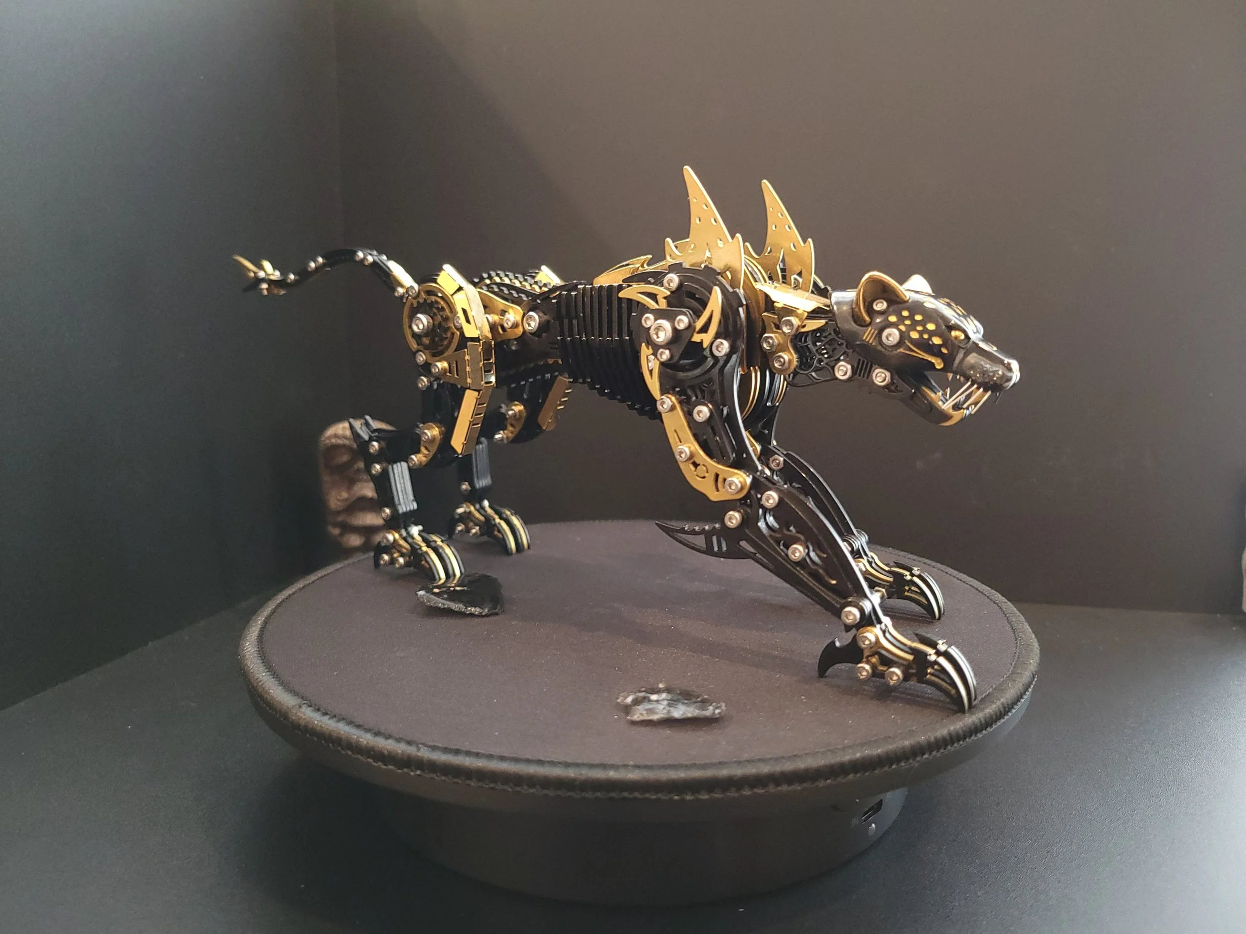 panther5.jpg