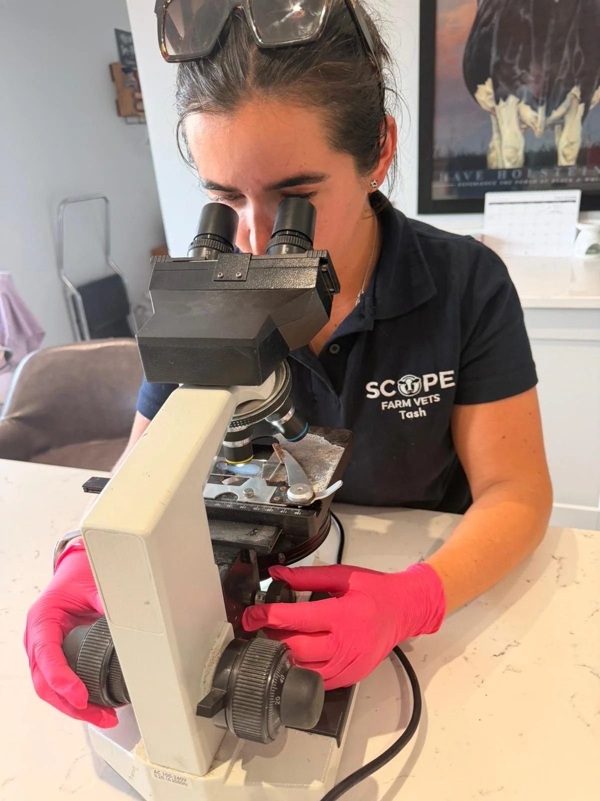 Refresher Course in Bovine Artificial Insemination